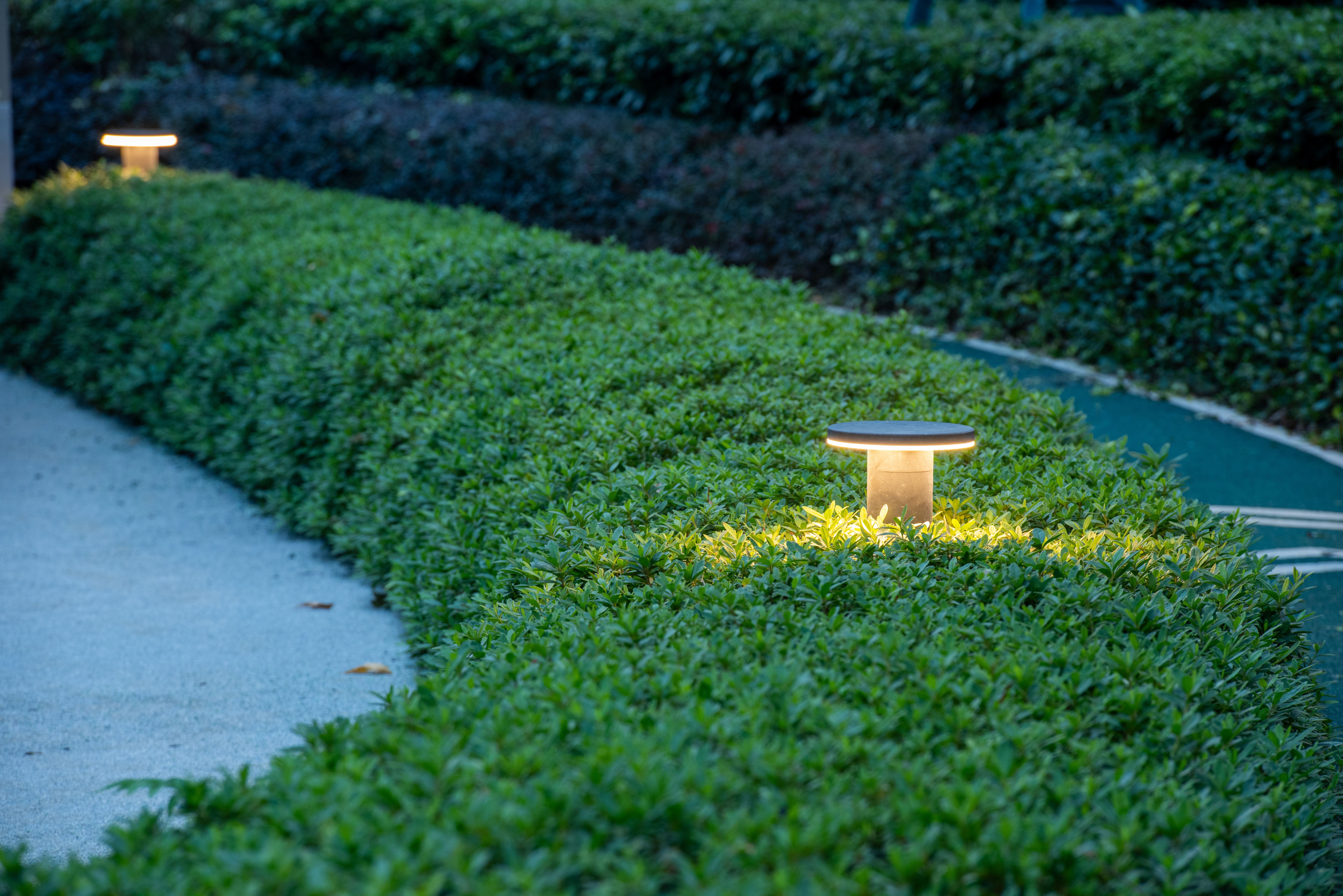 landscape lighting