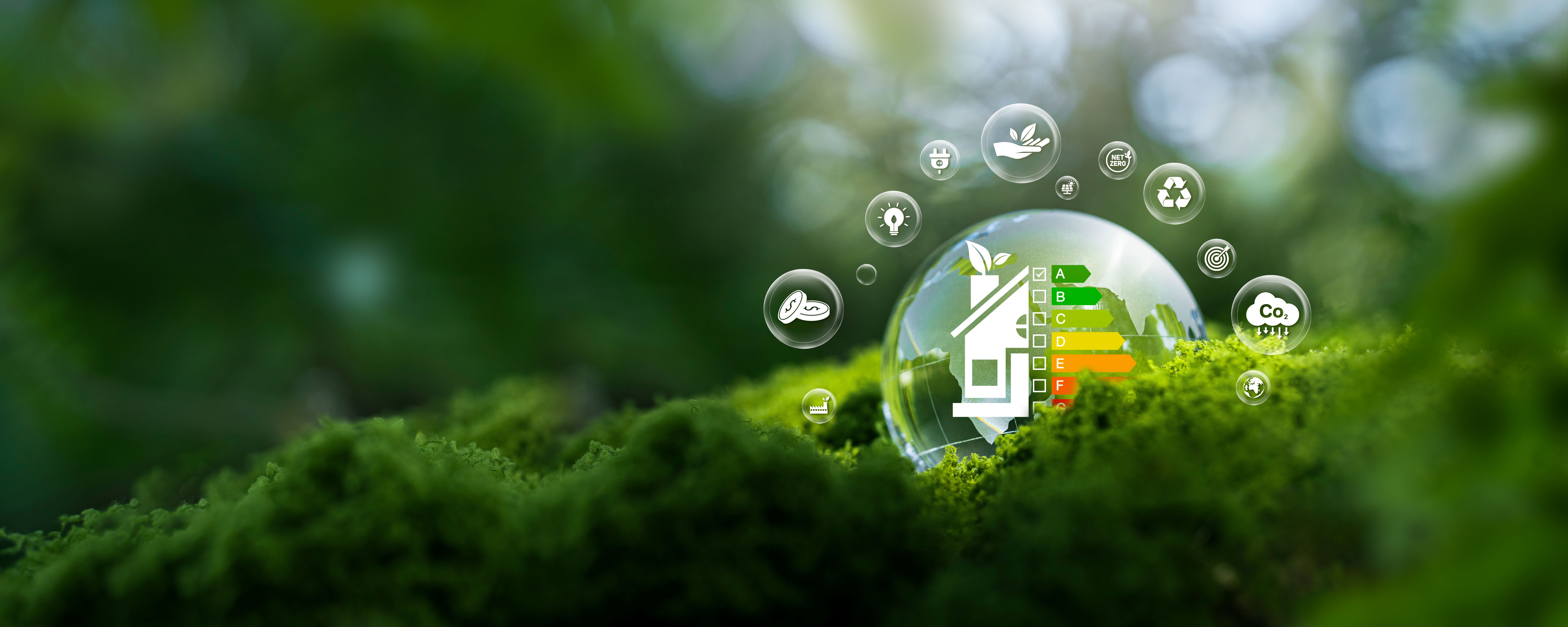 Sustainability in Ecuador Sustainability in Ecuador