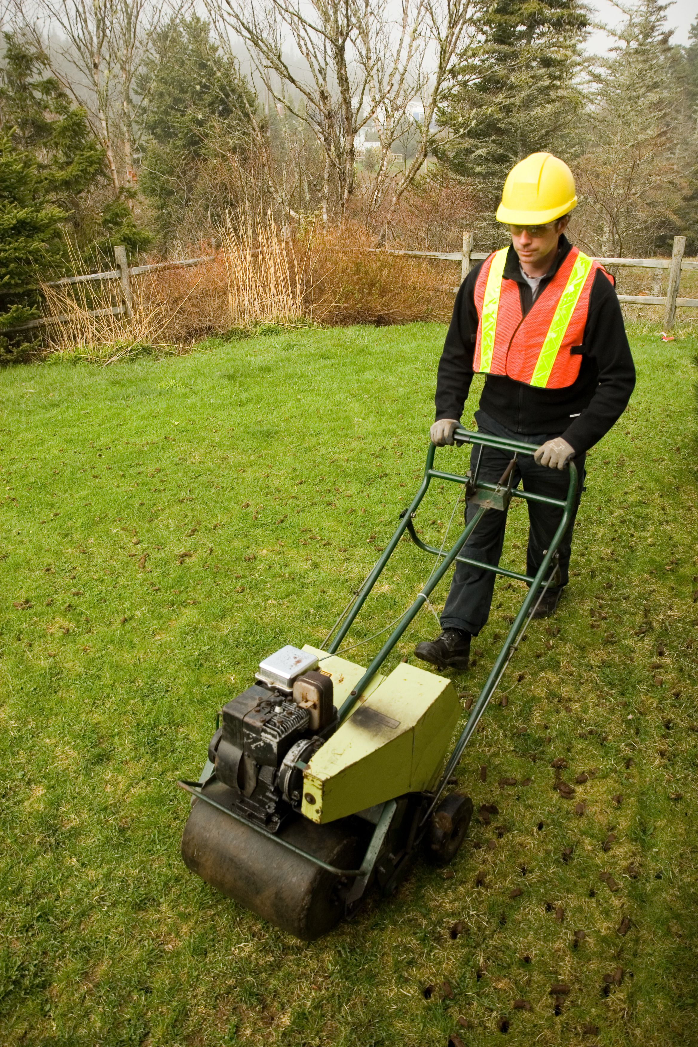aerating lawn