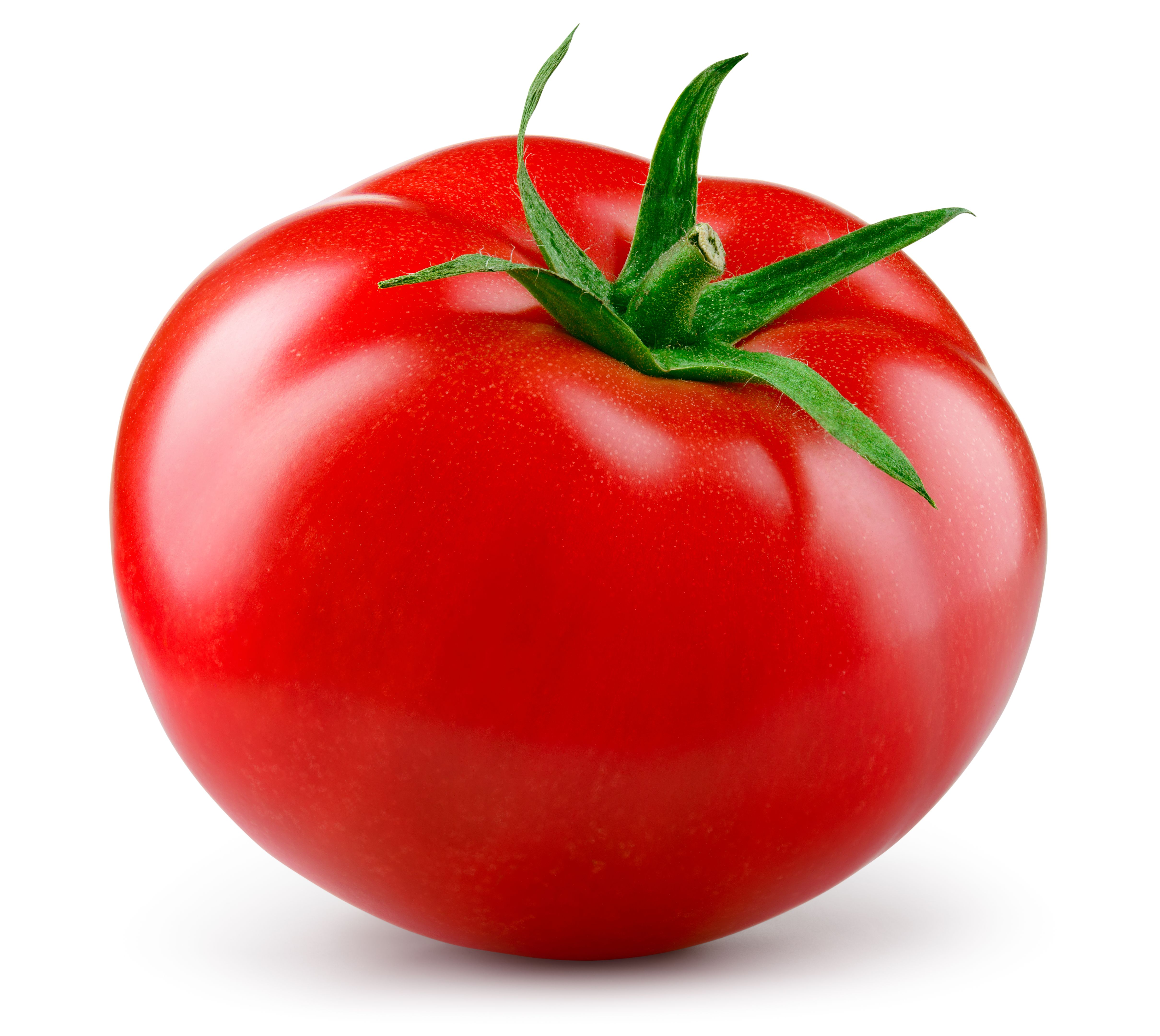 ripe tomatoes