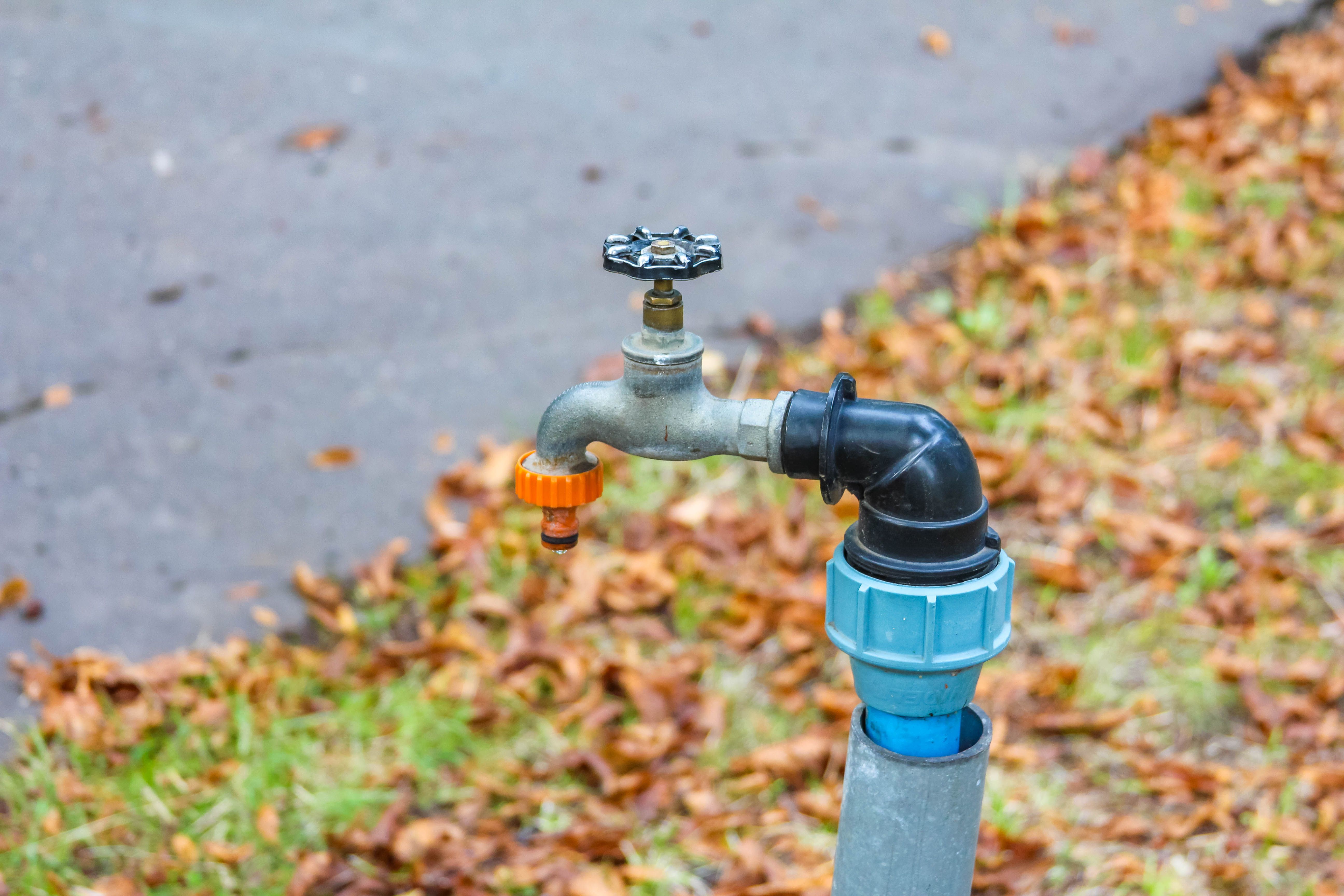 autumn waste management