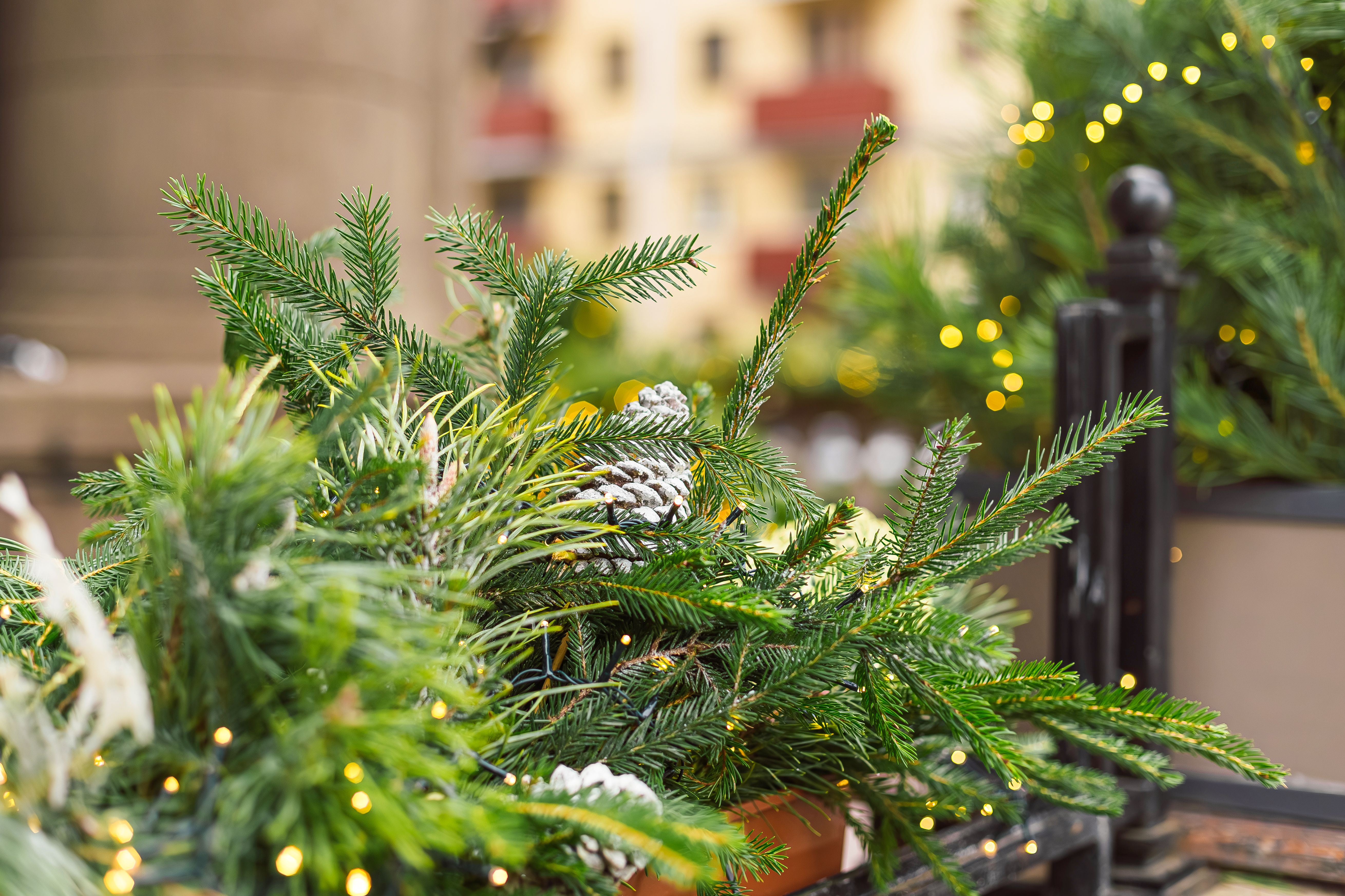 outdoor holiday decor