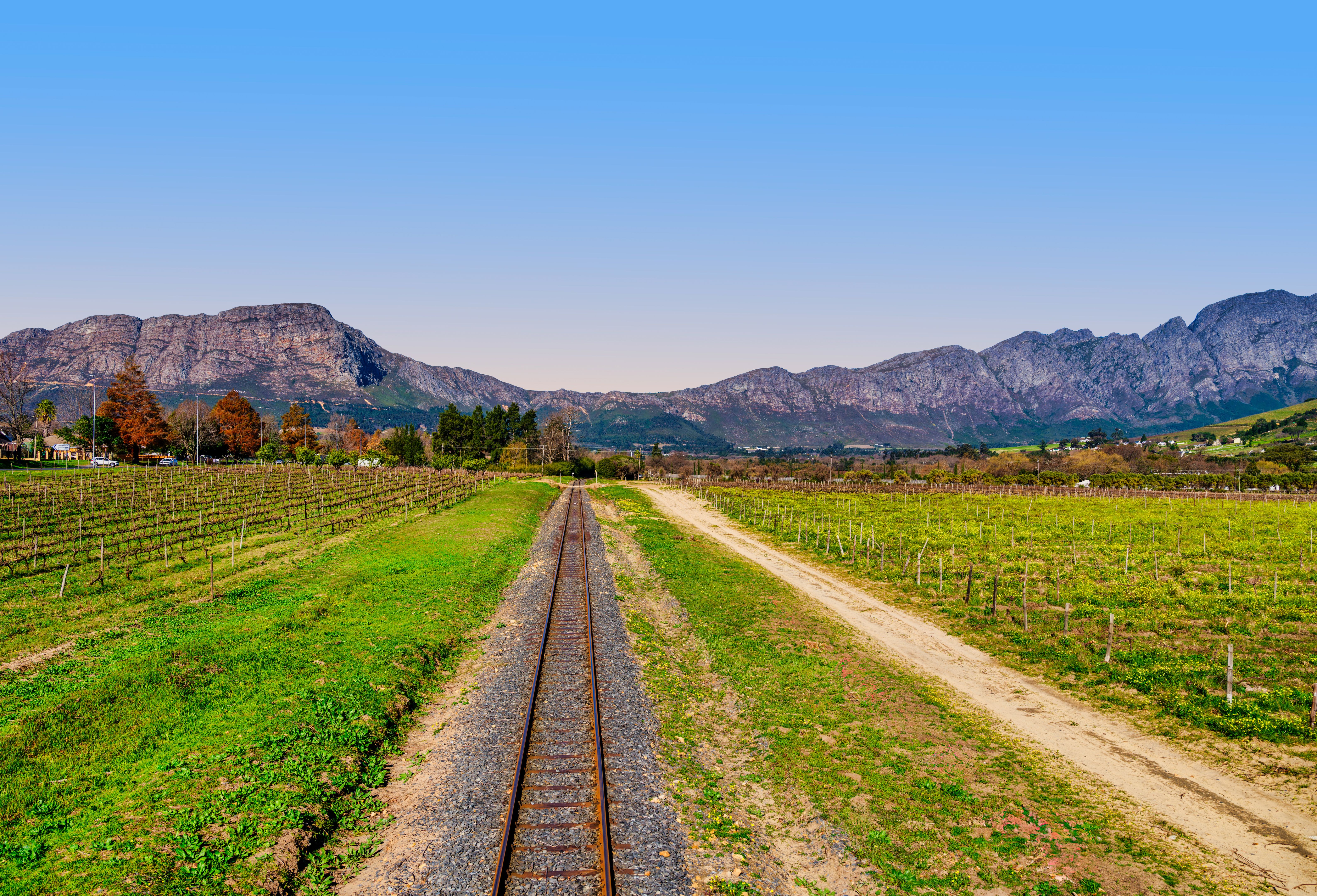 franschhoek wine tram