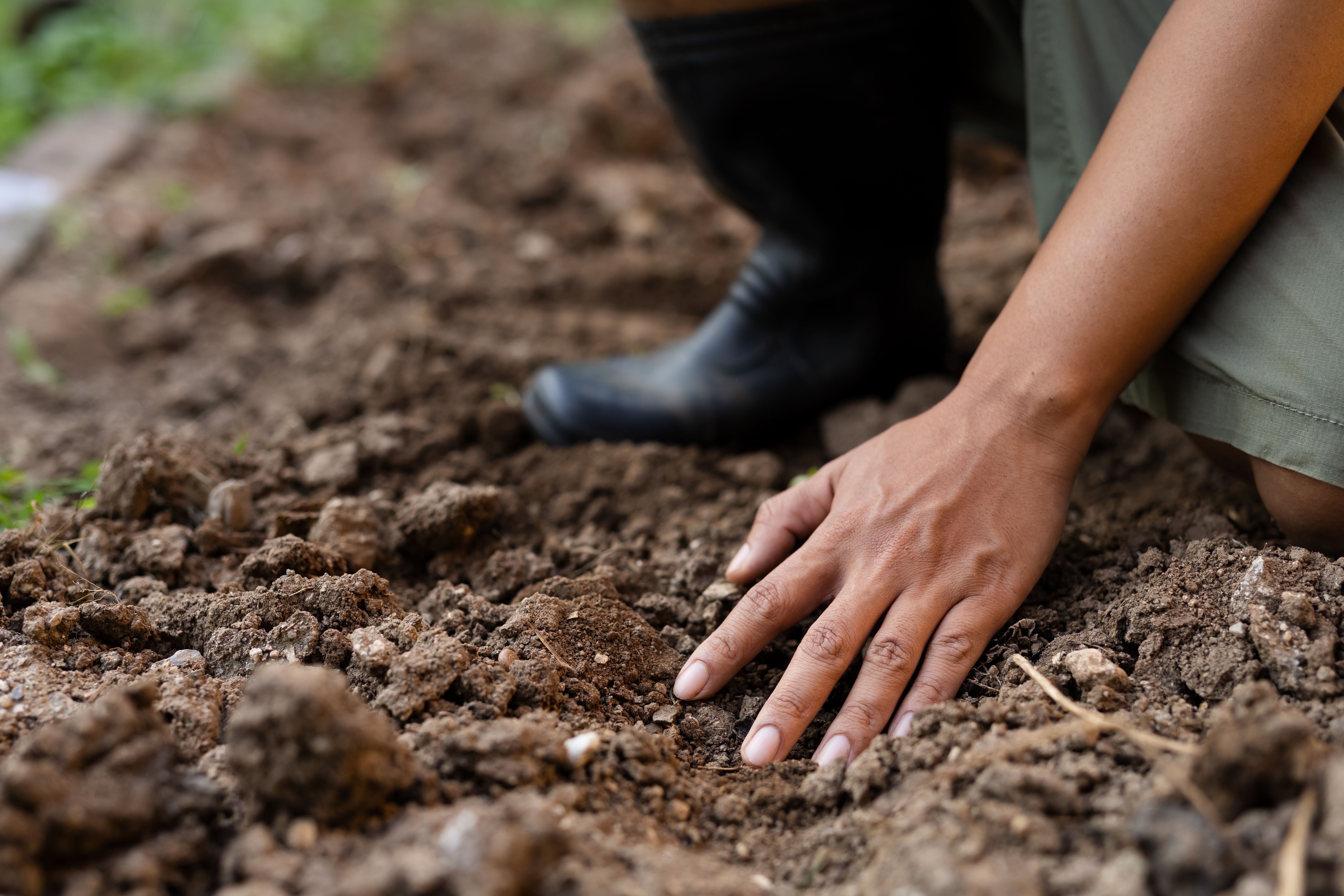 preparing garden