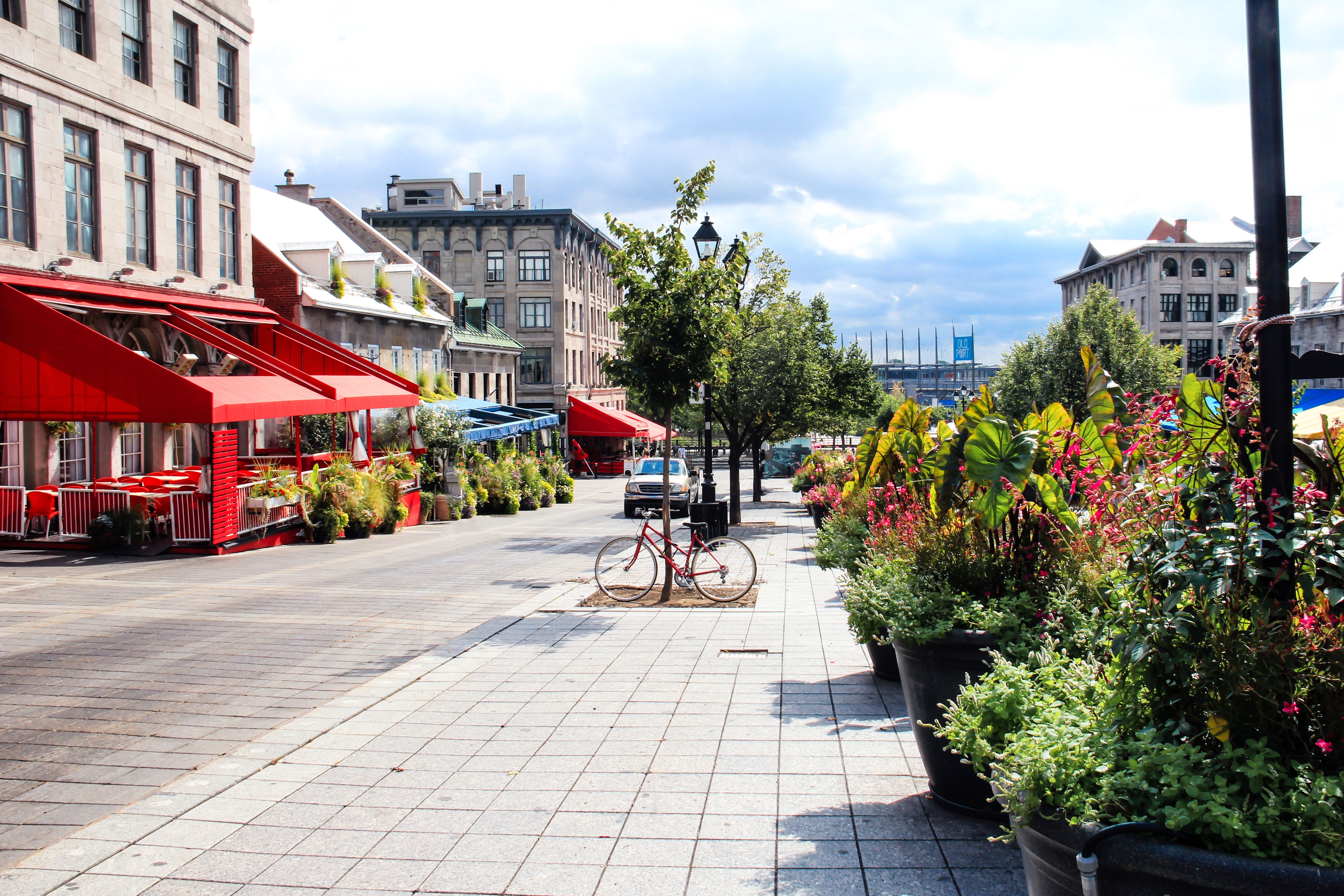 montreal health store