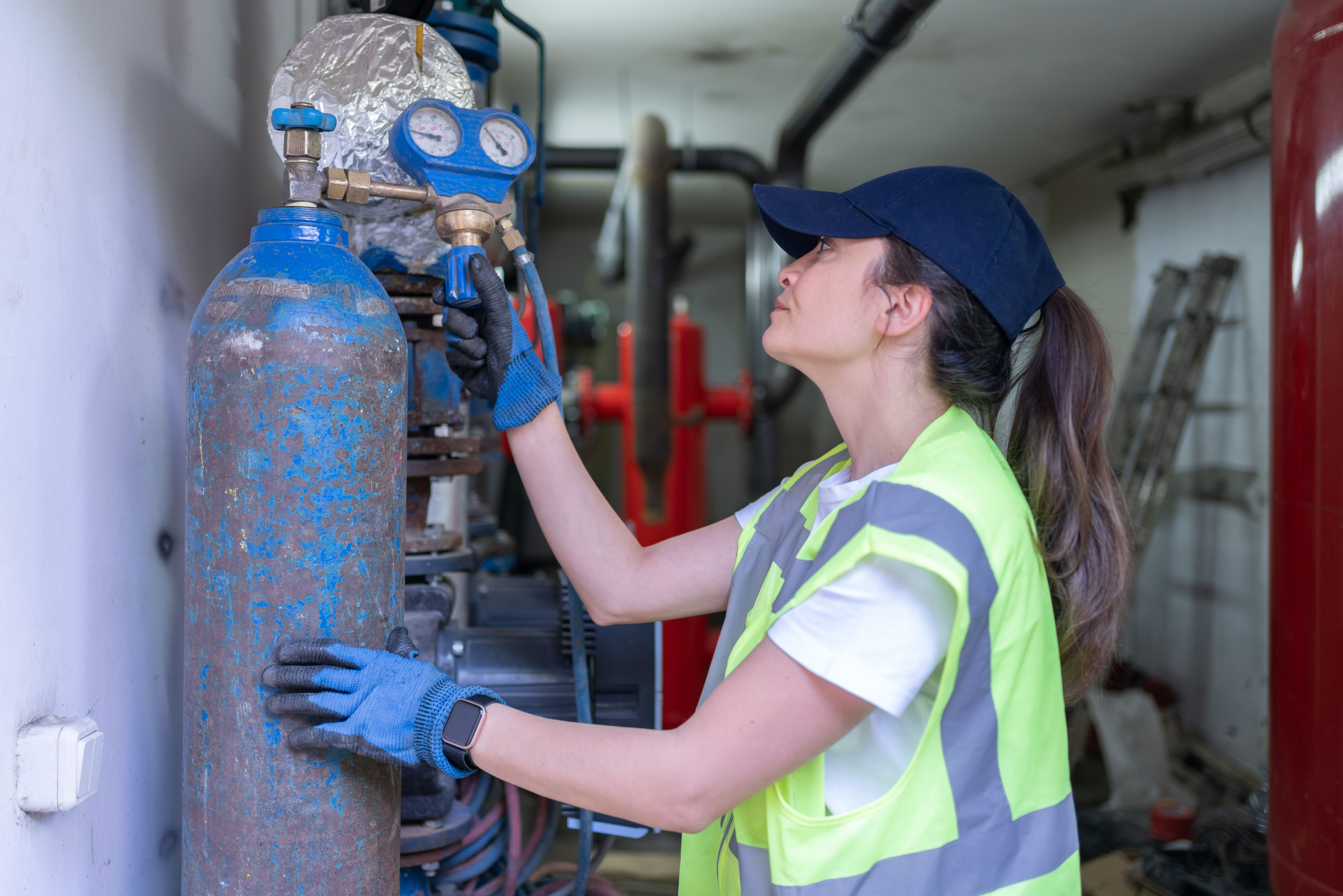 check valve inspection