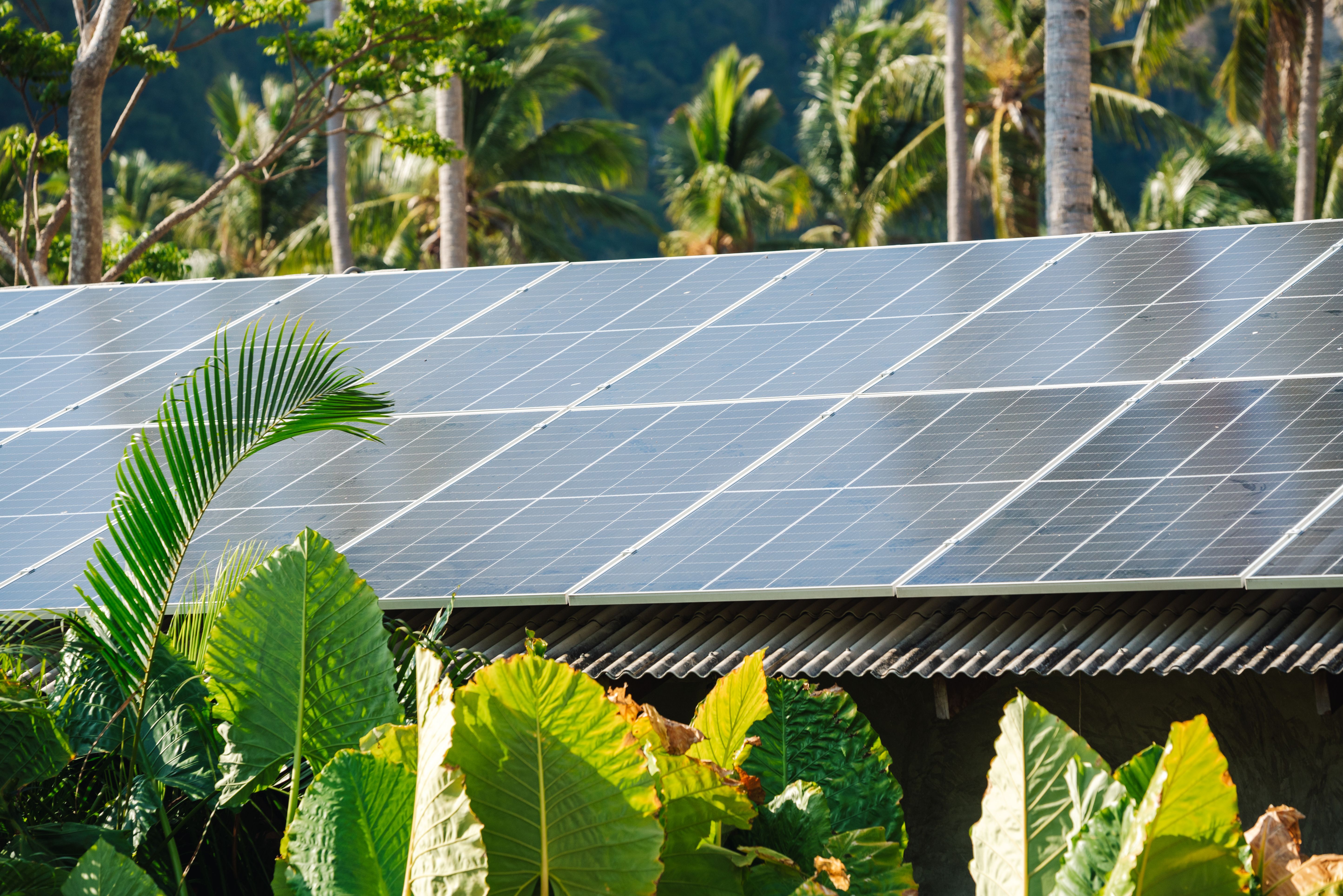 solar panels tropical