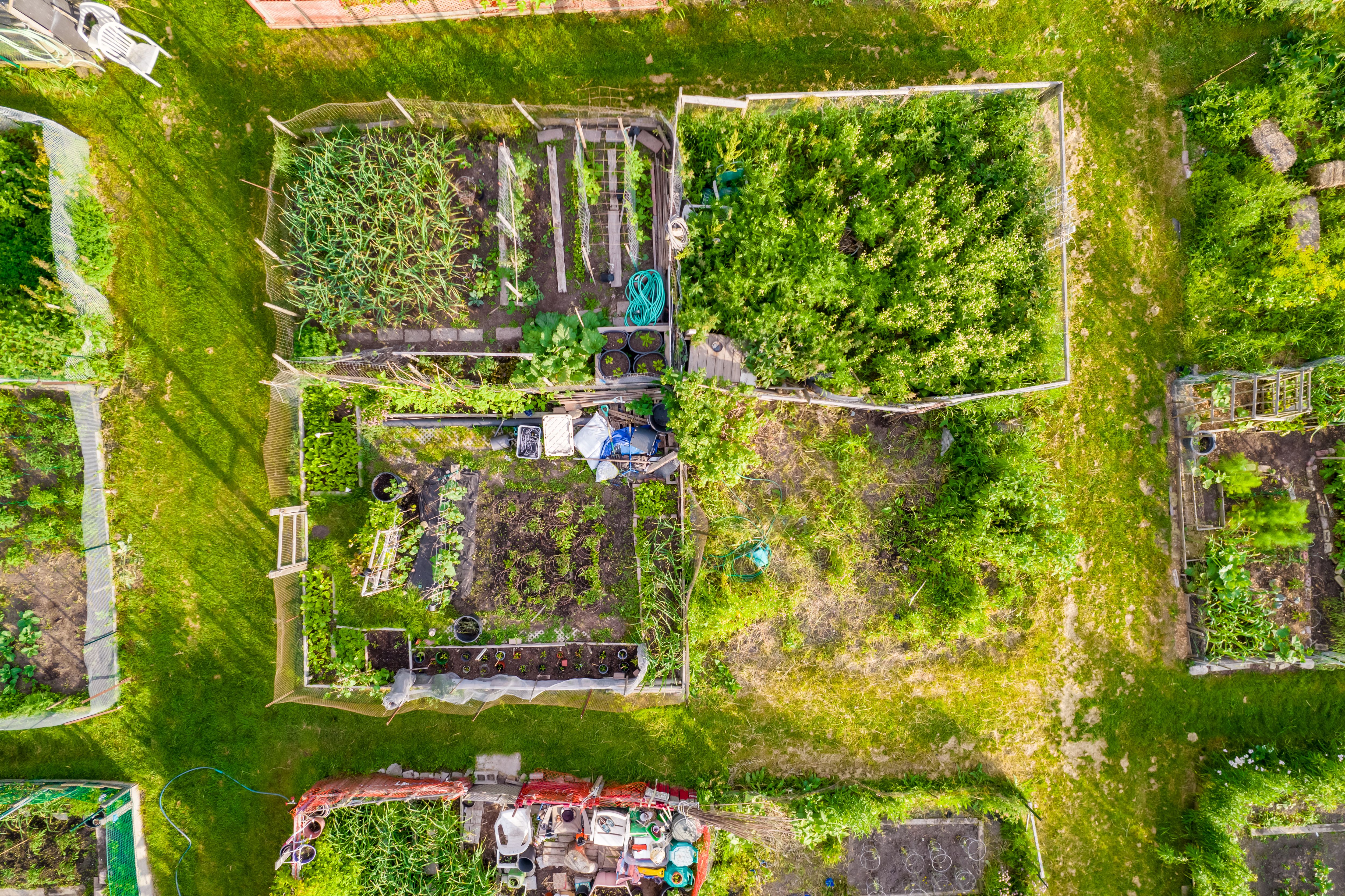 urban farming