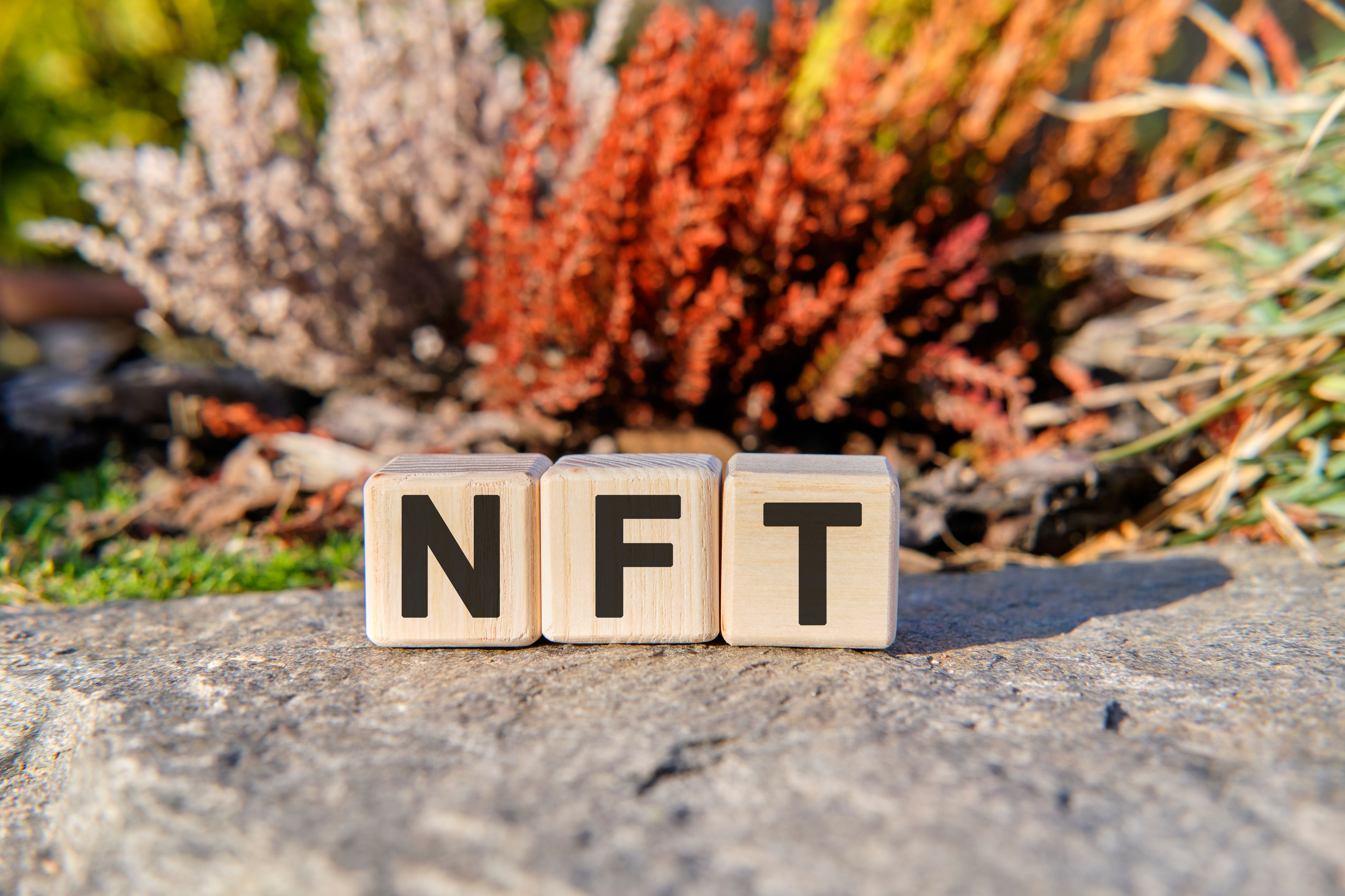 nft environment
