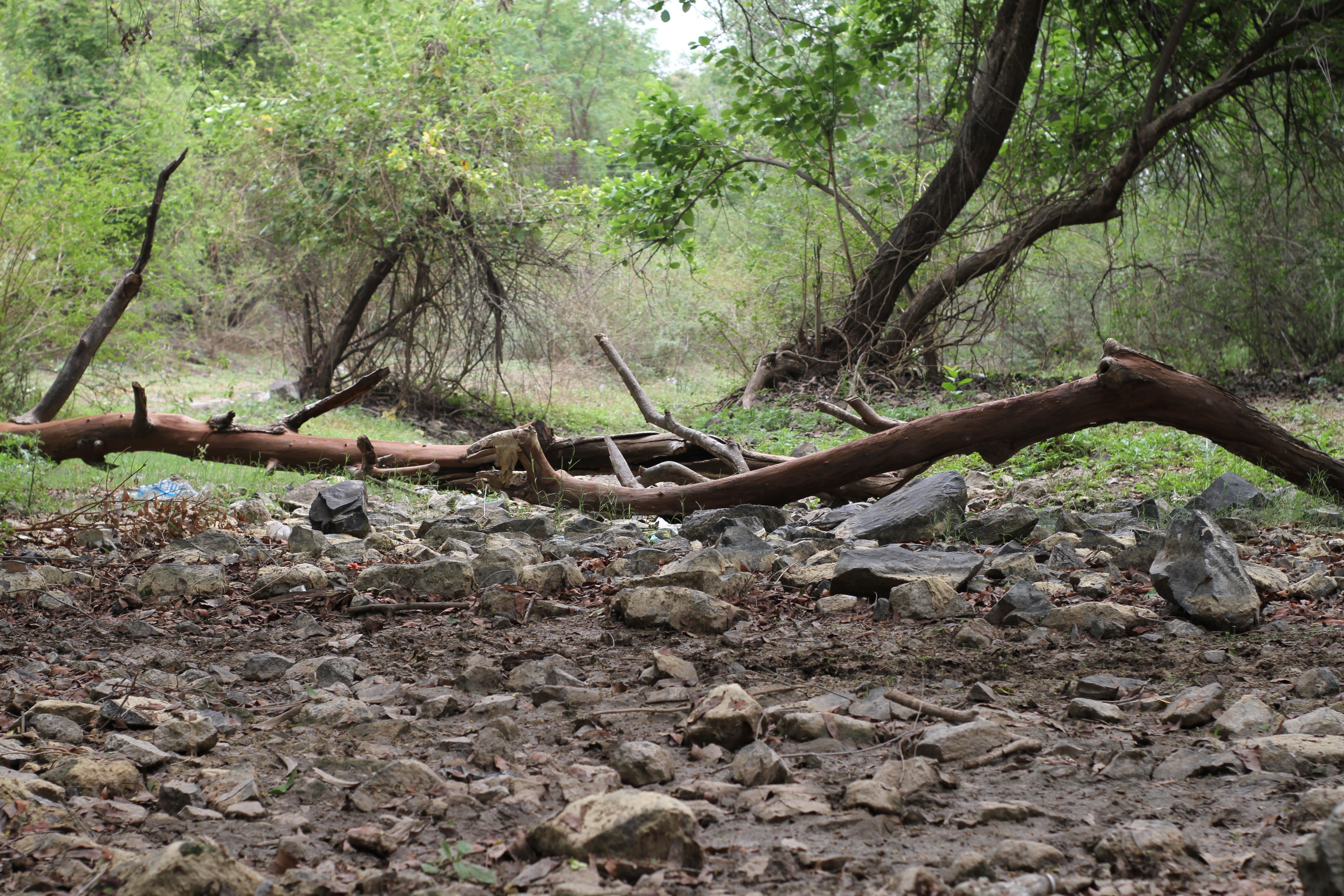 outdoor fitness Mumbai