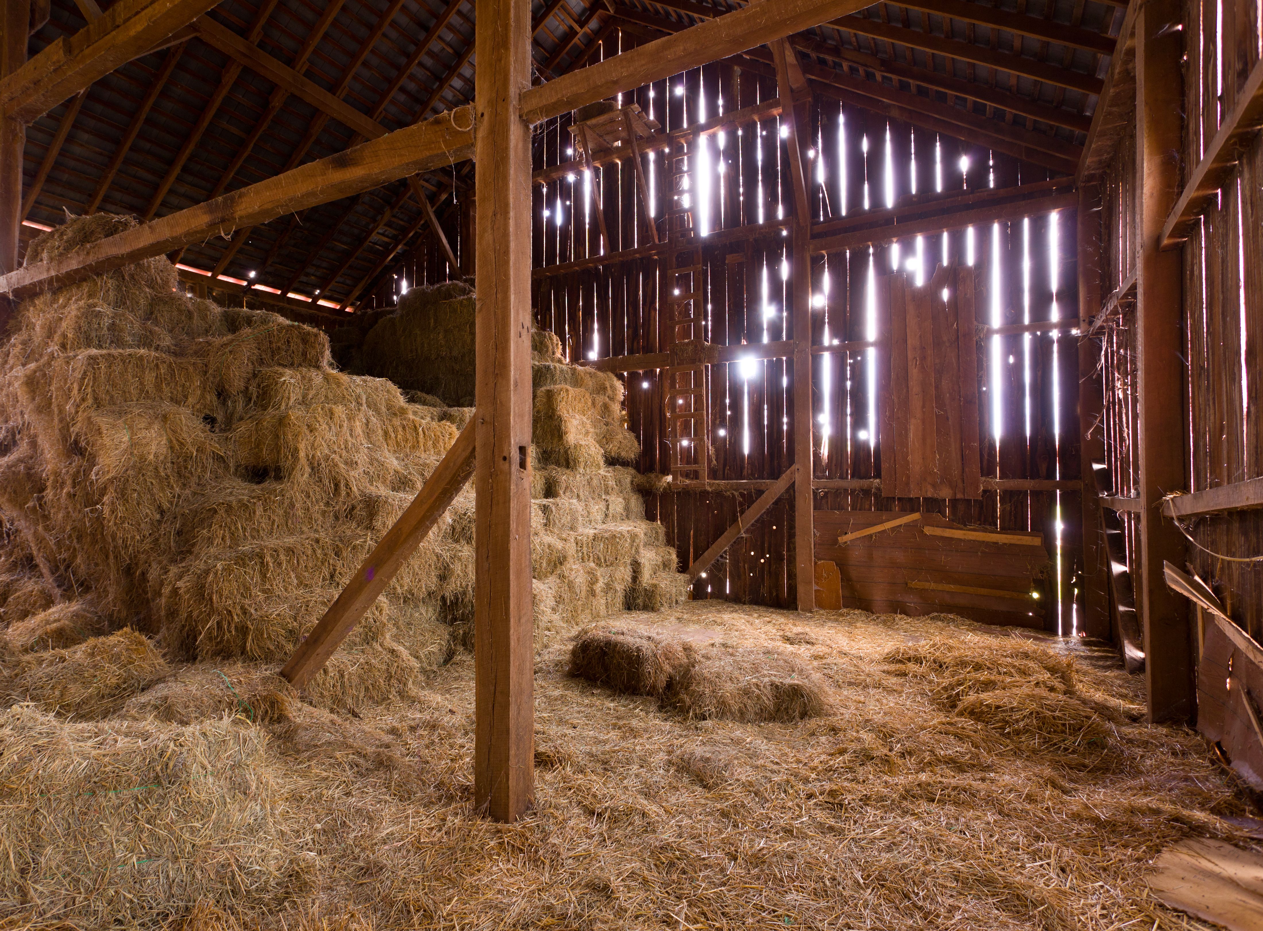 barn interior