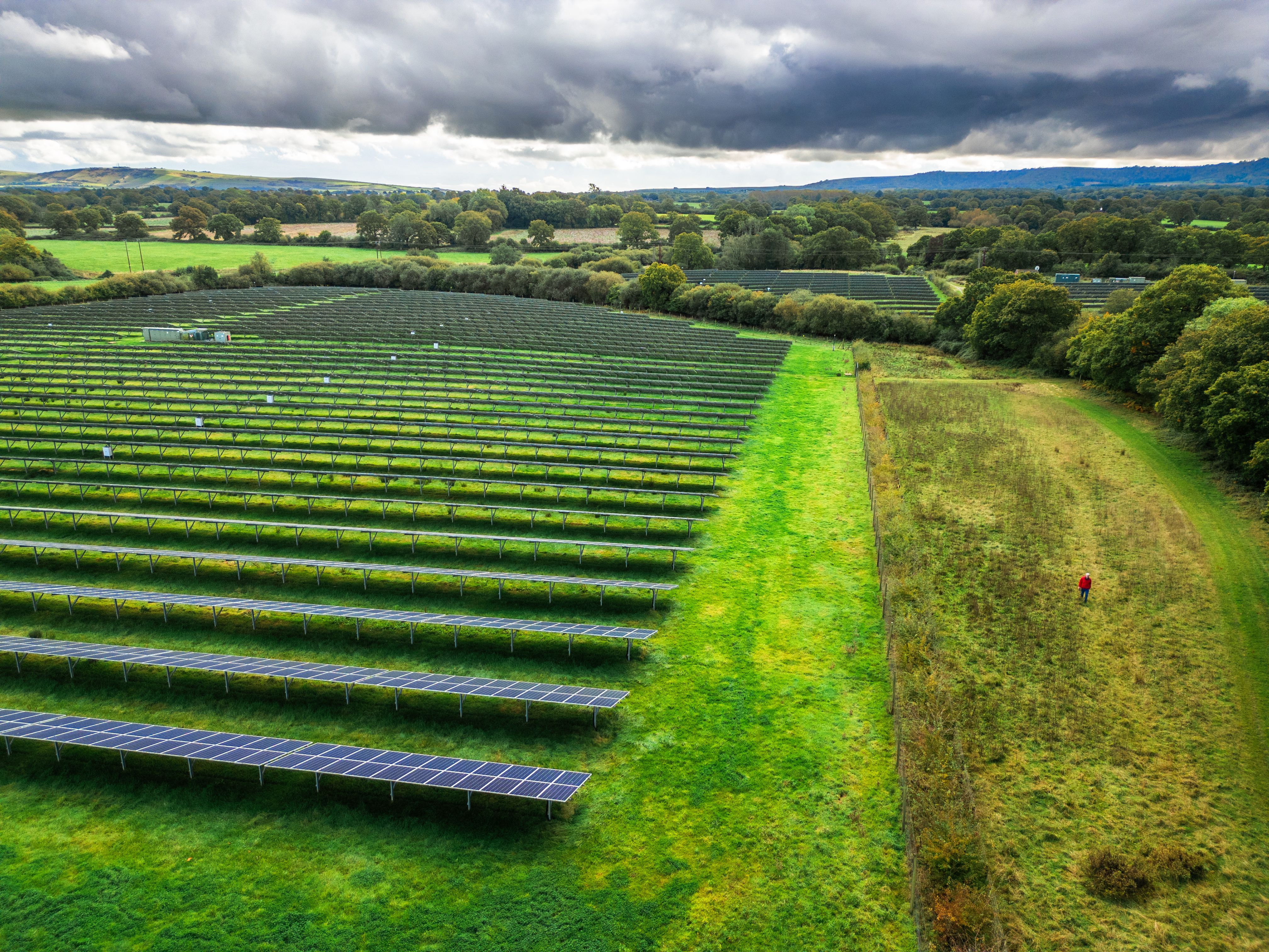 vegetation management solar farm