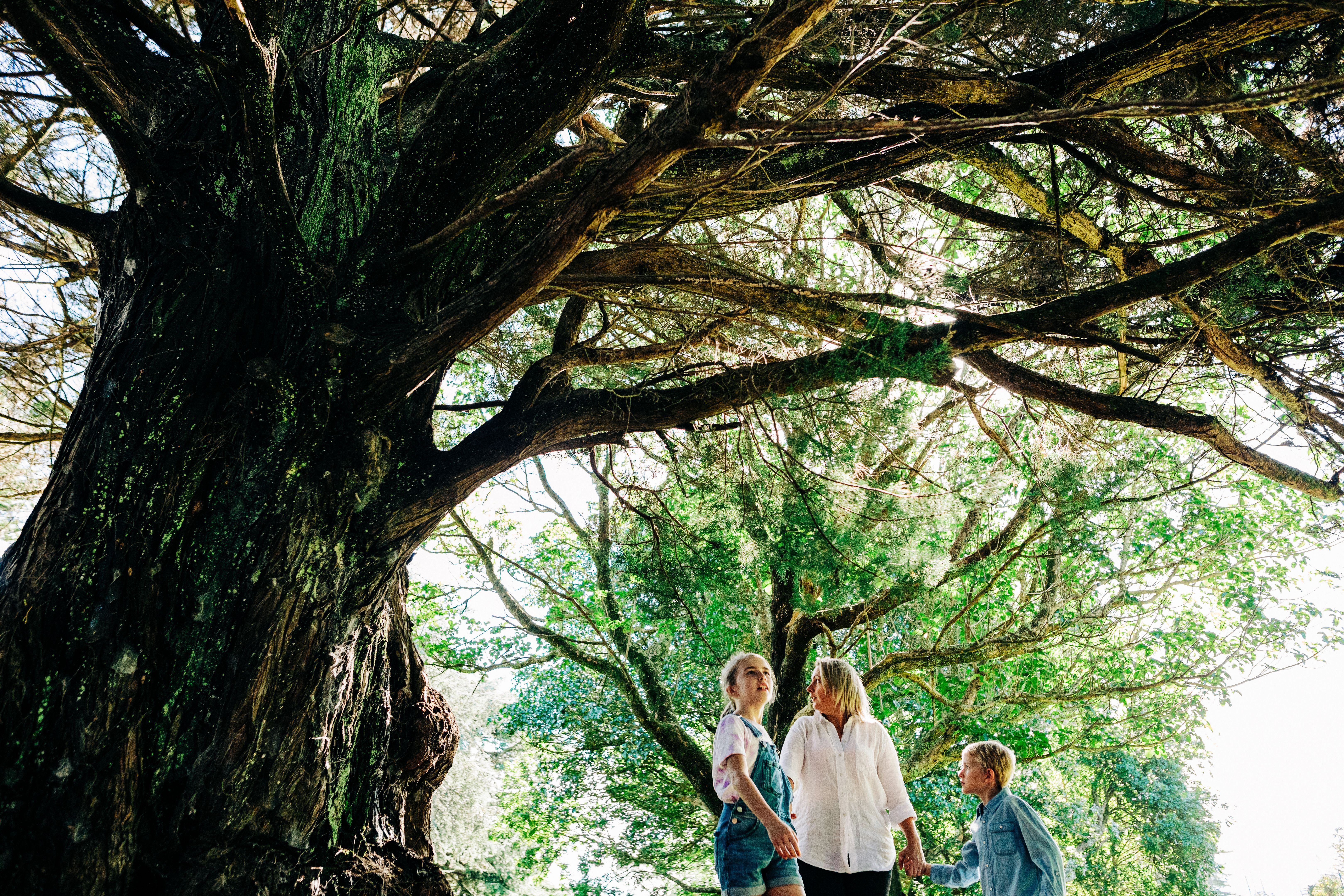 guests enjoying nature
