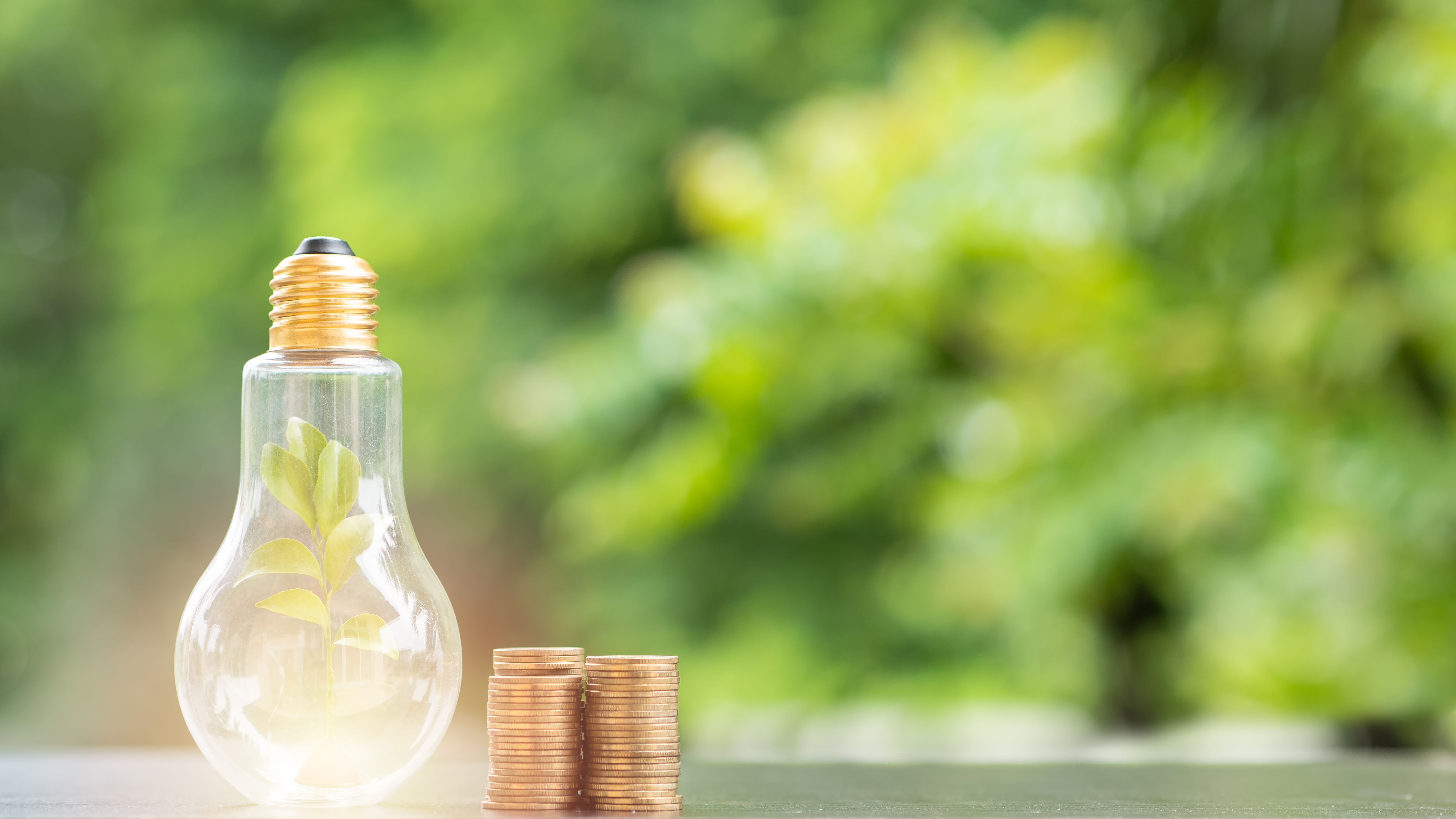 energy savings
