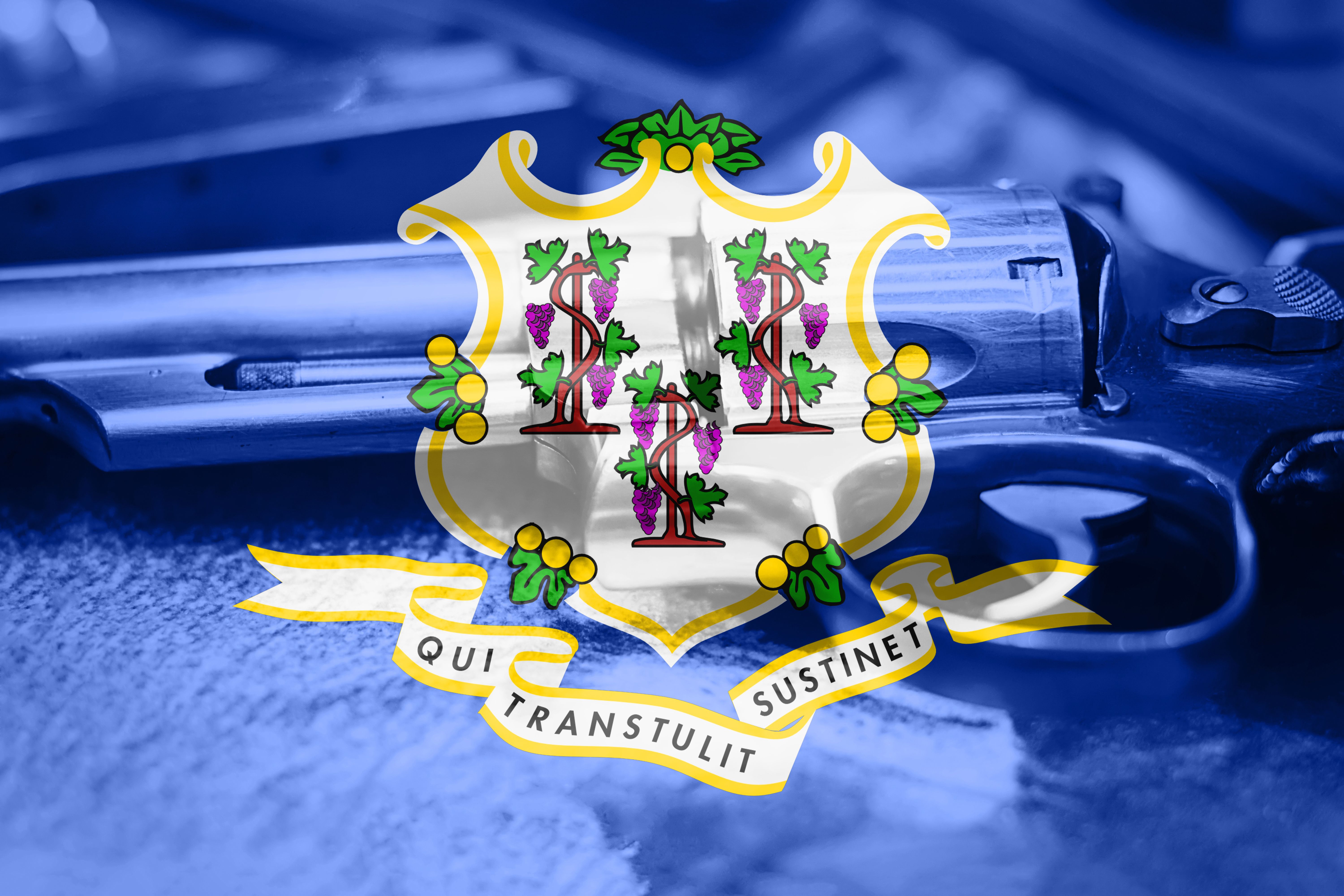 connecticut custody laws