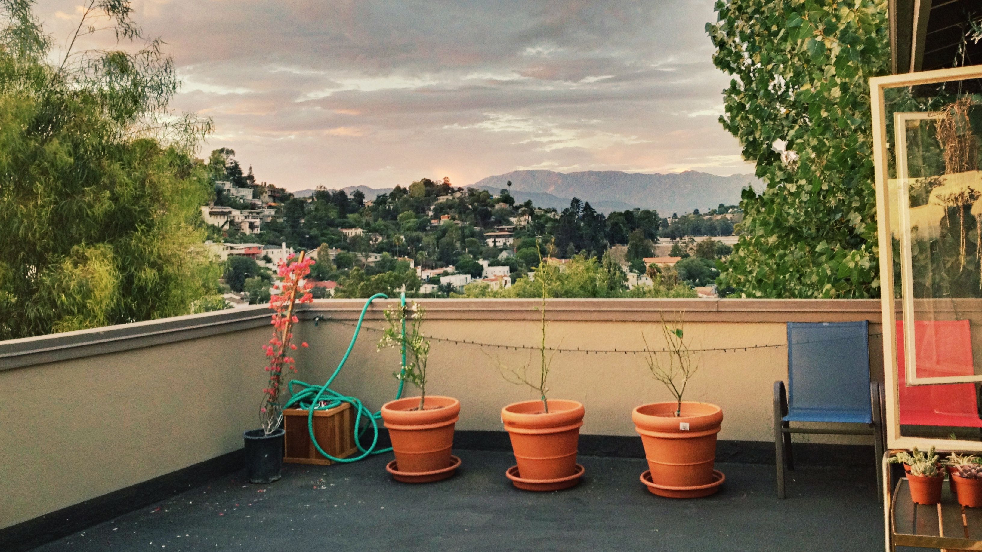 los angeles garden