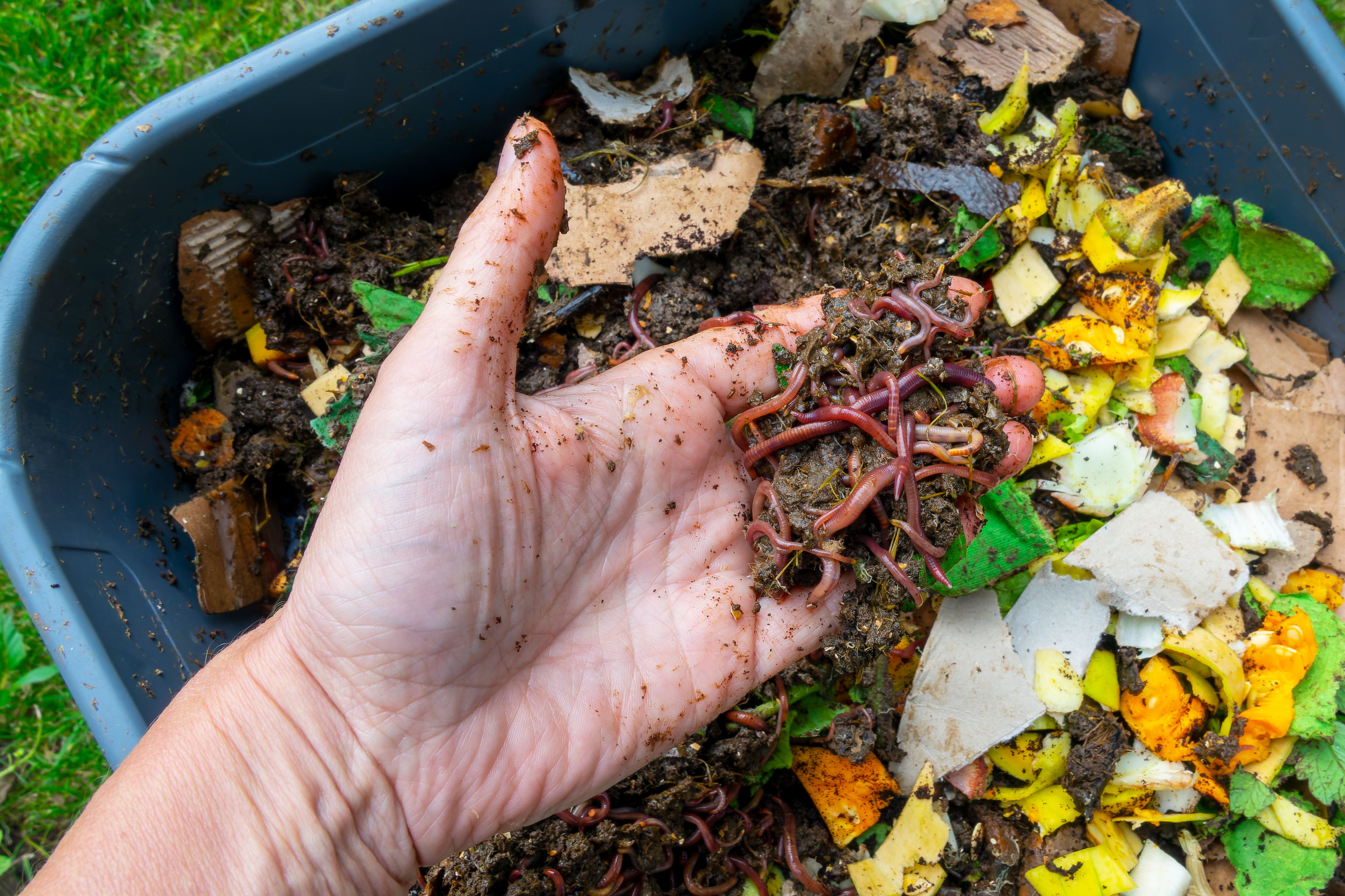 composting