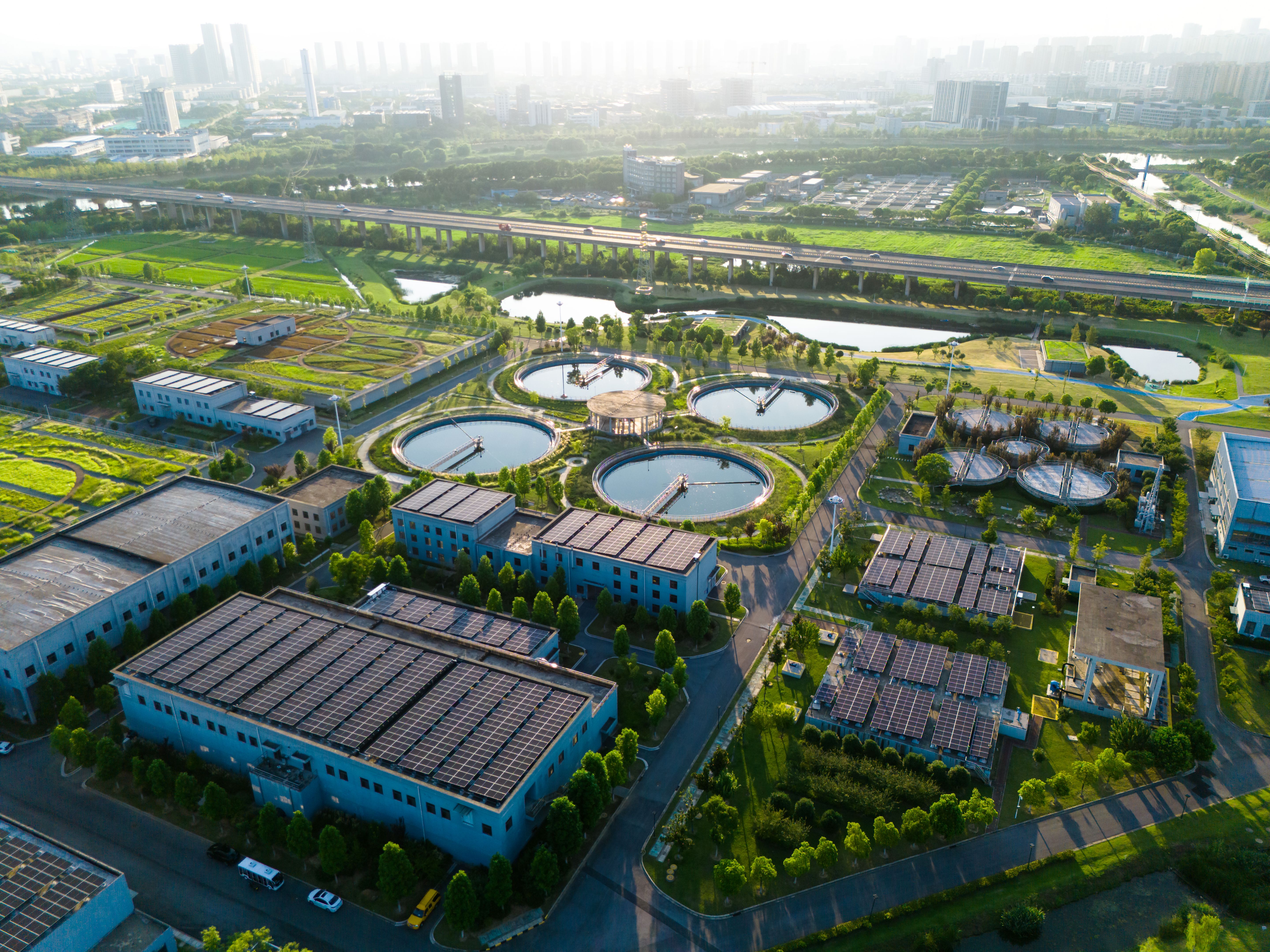 solar panel cleaning