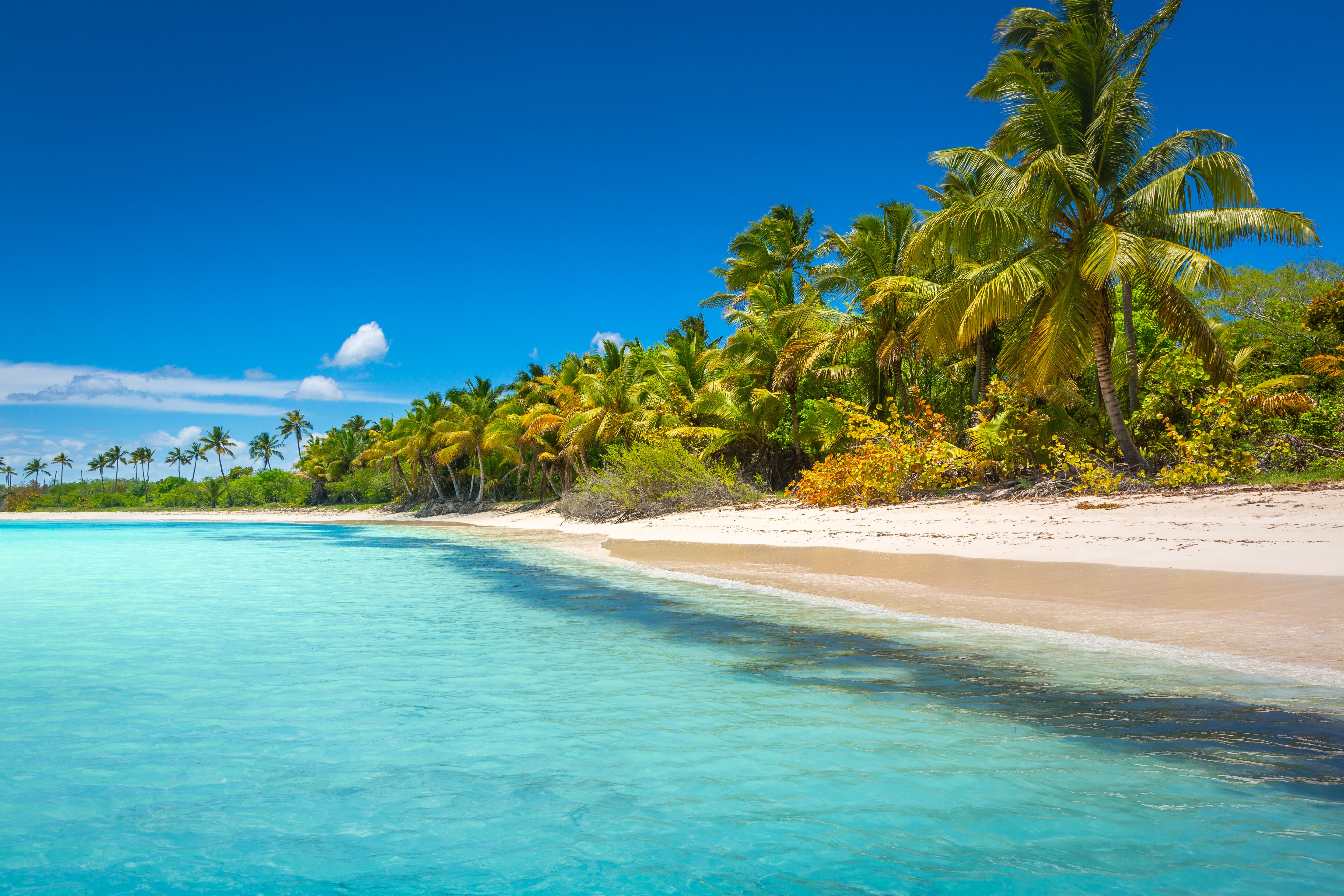 caribbean beach
