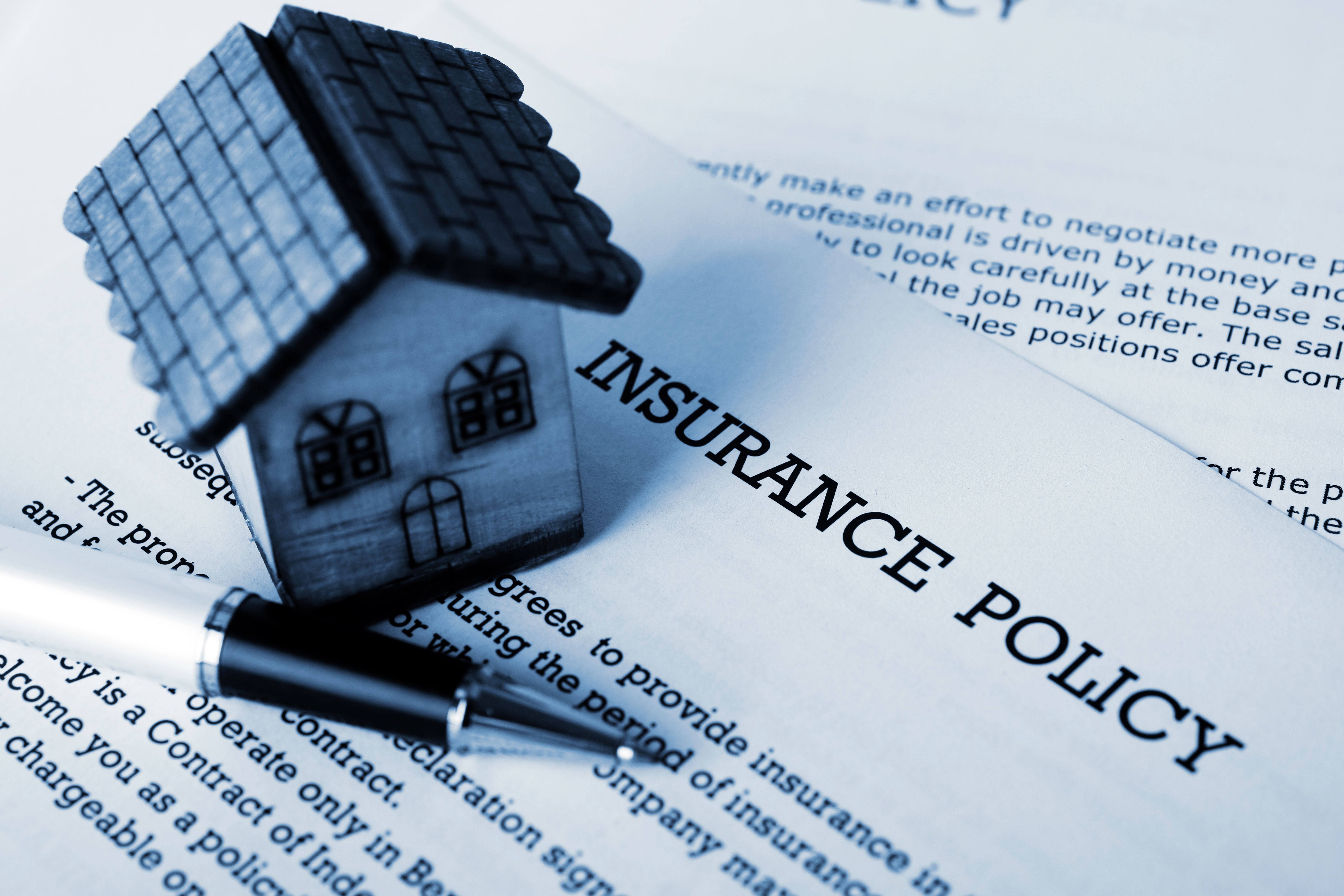 insurance policy details