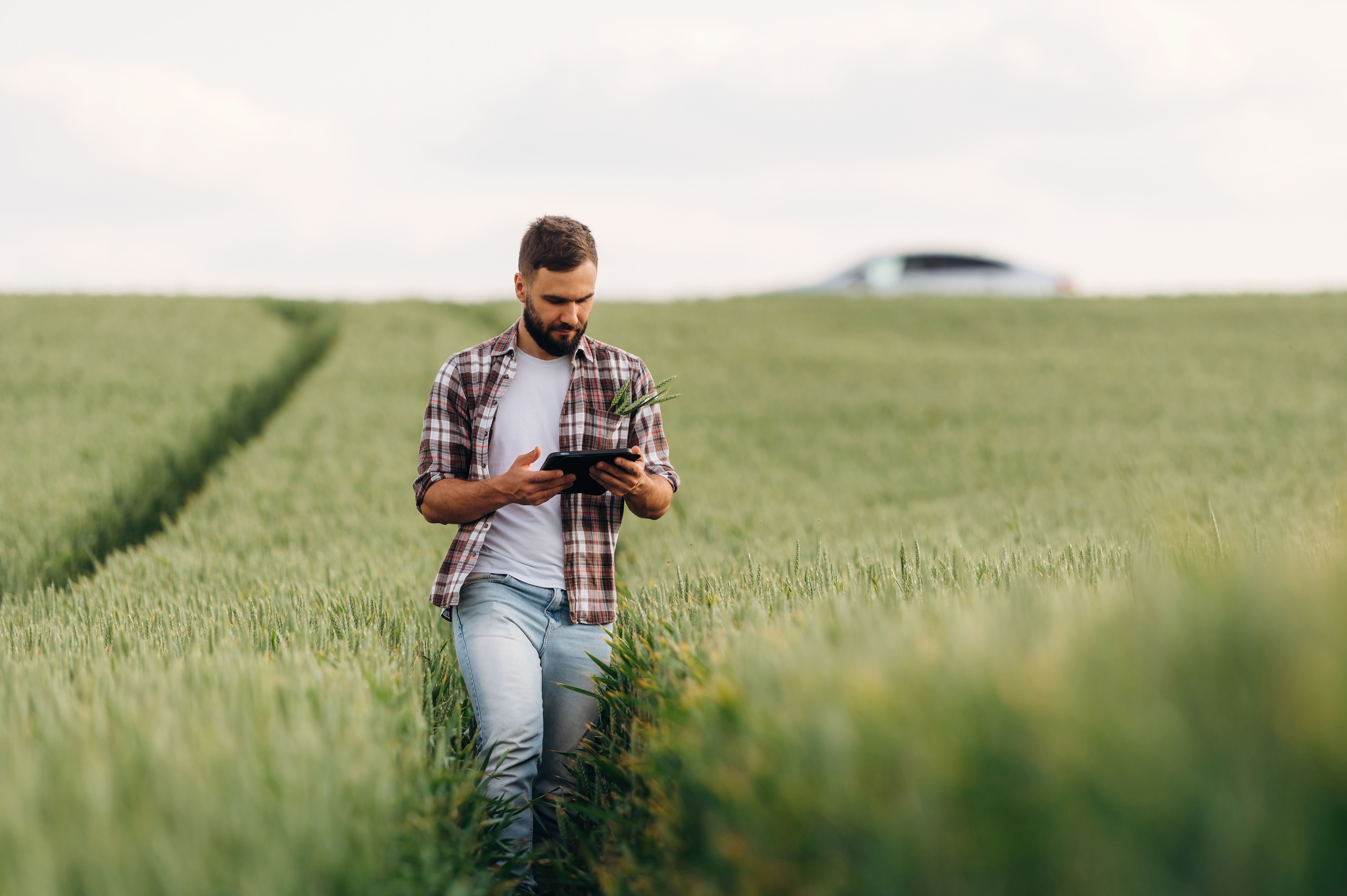 field inspection technology