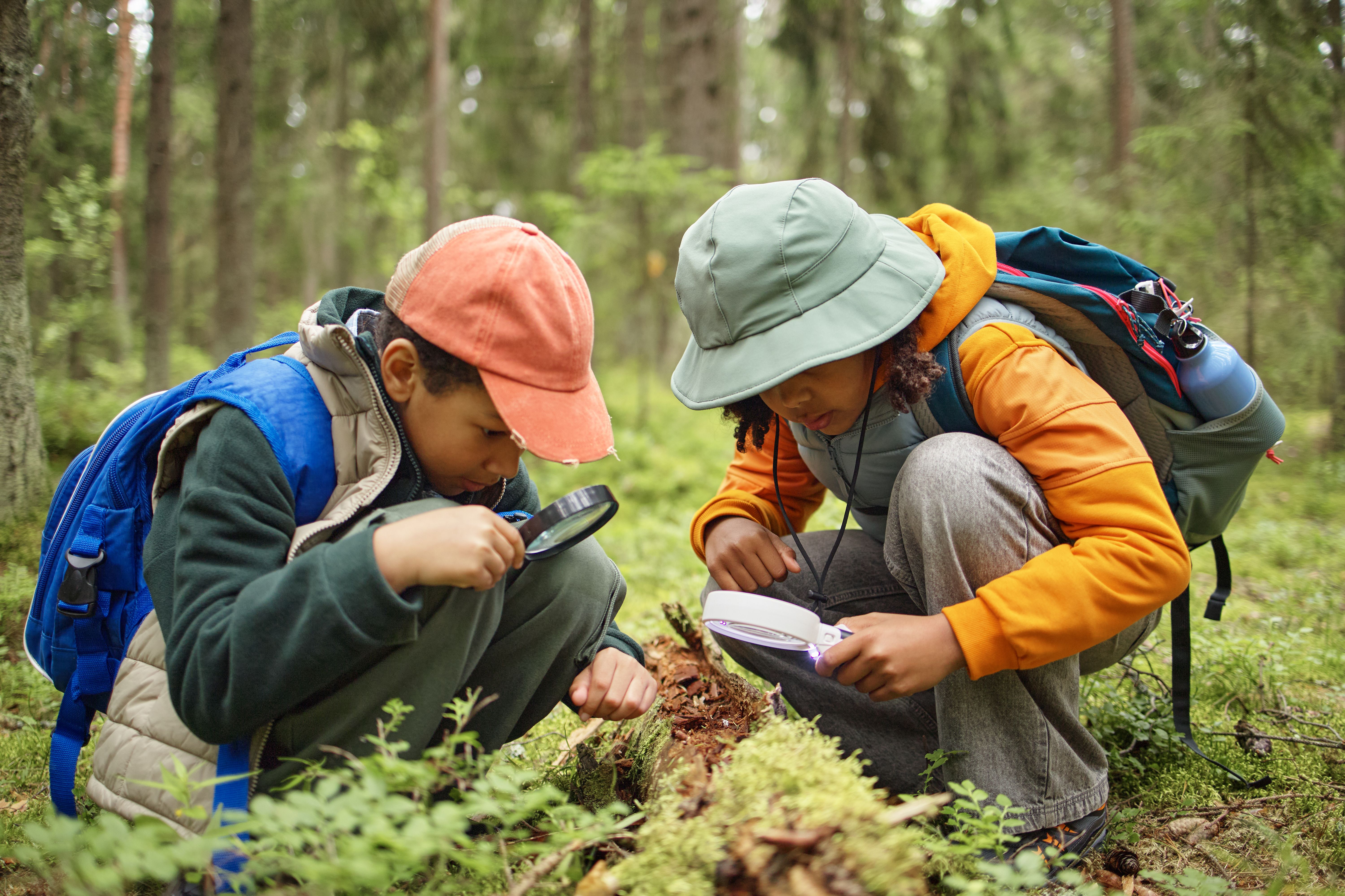 children learning outdoors