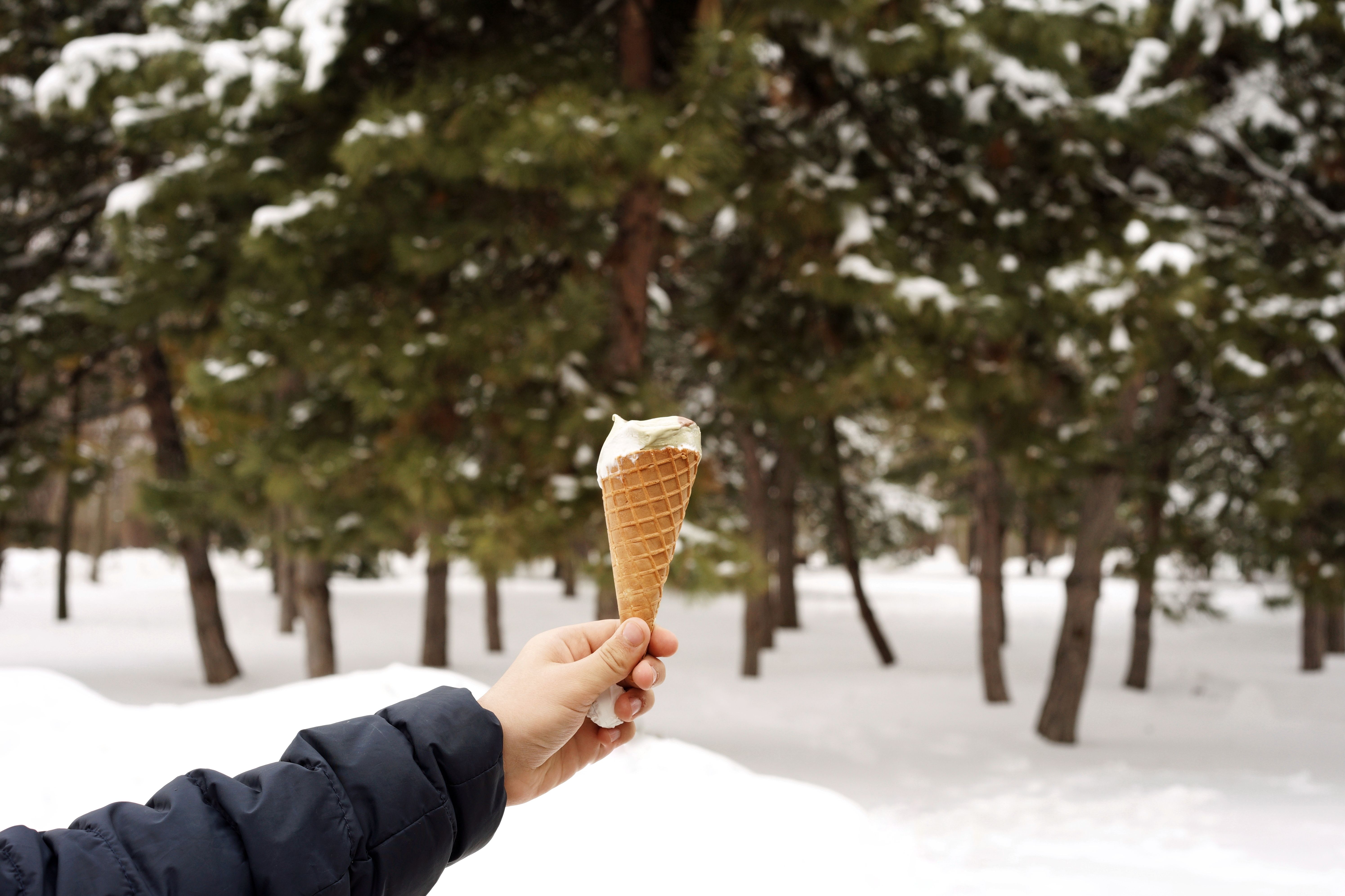 winter ice cream