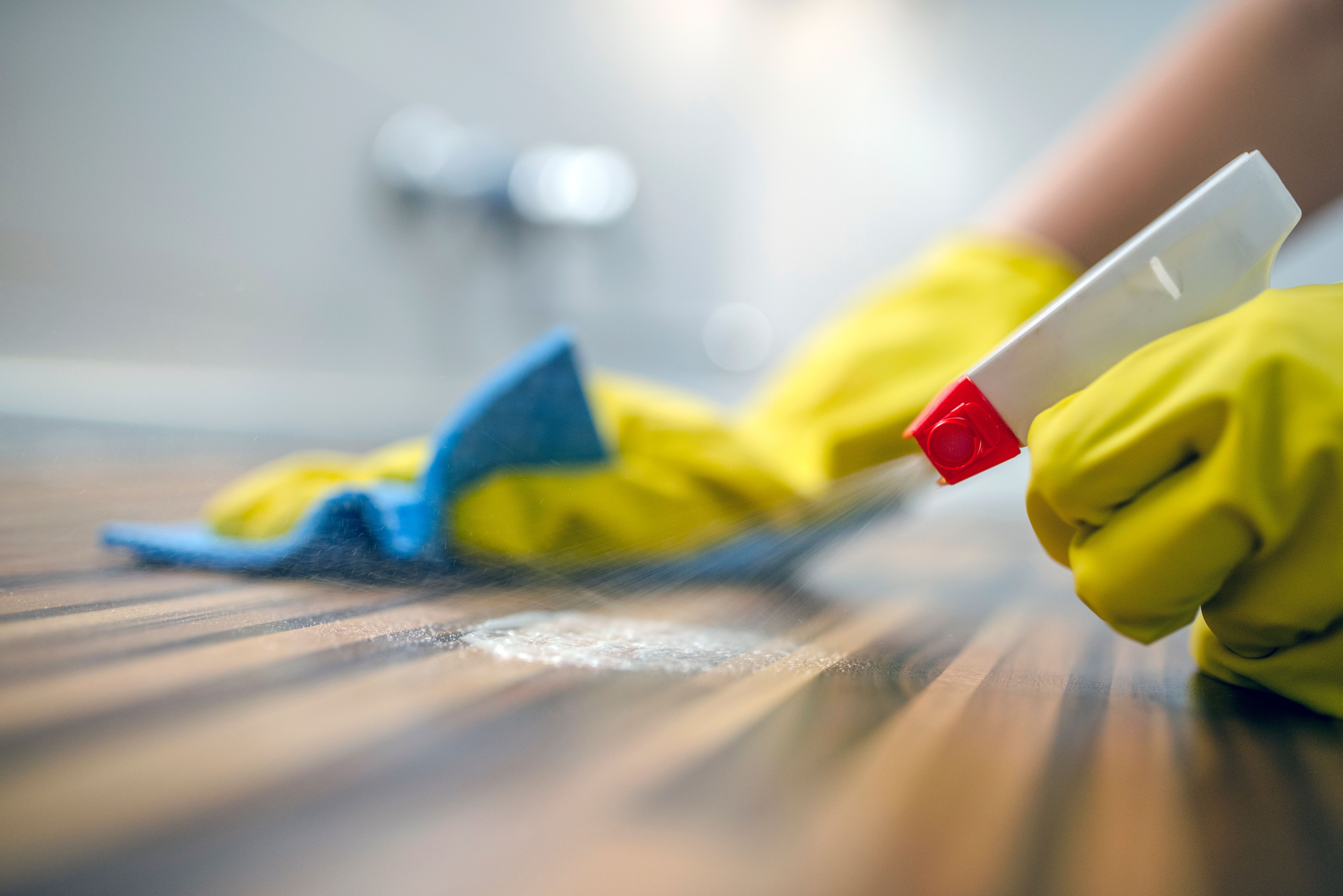 cleaning furniture