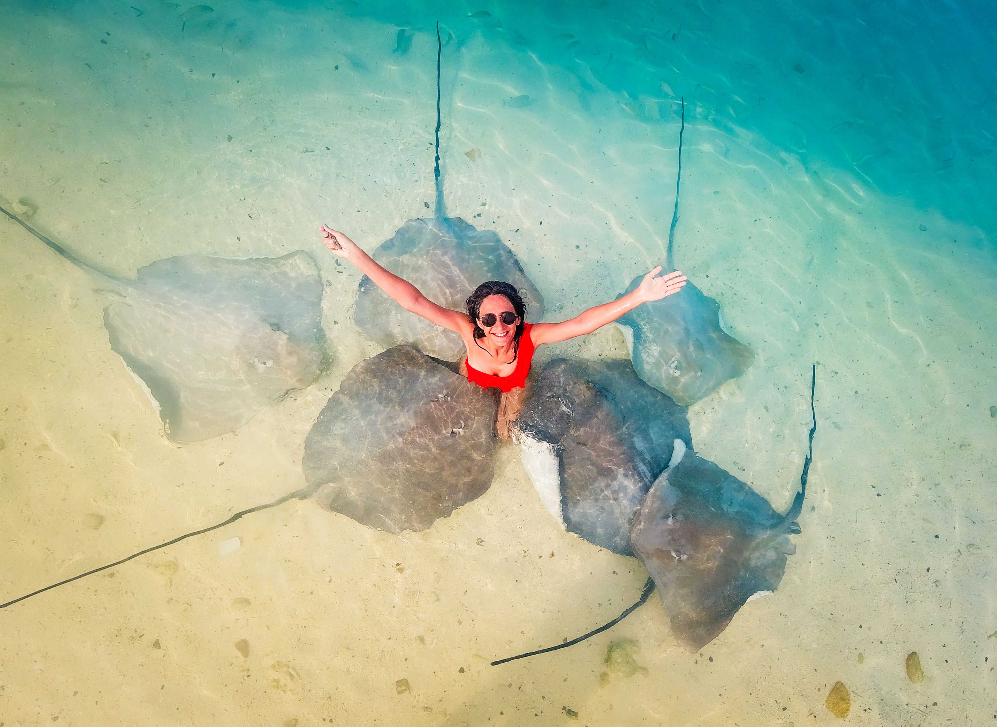 tourist feeding stingray