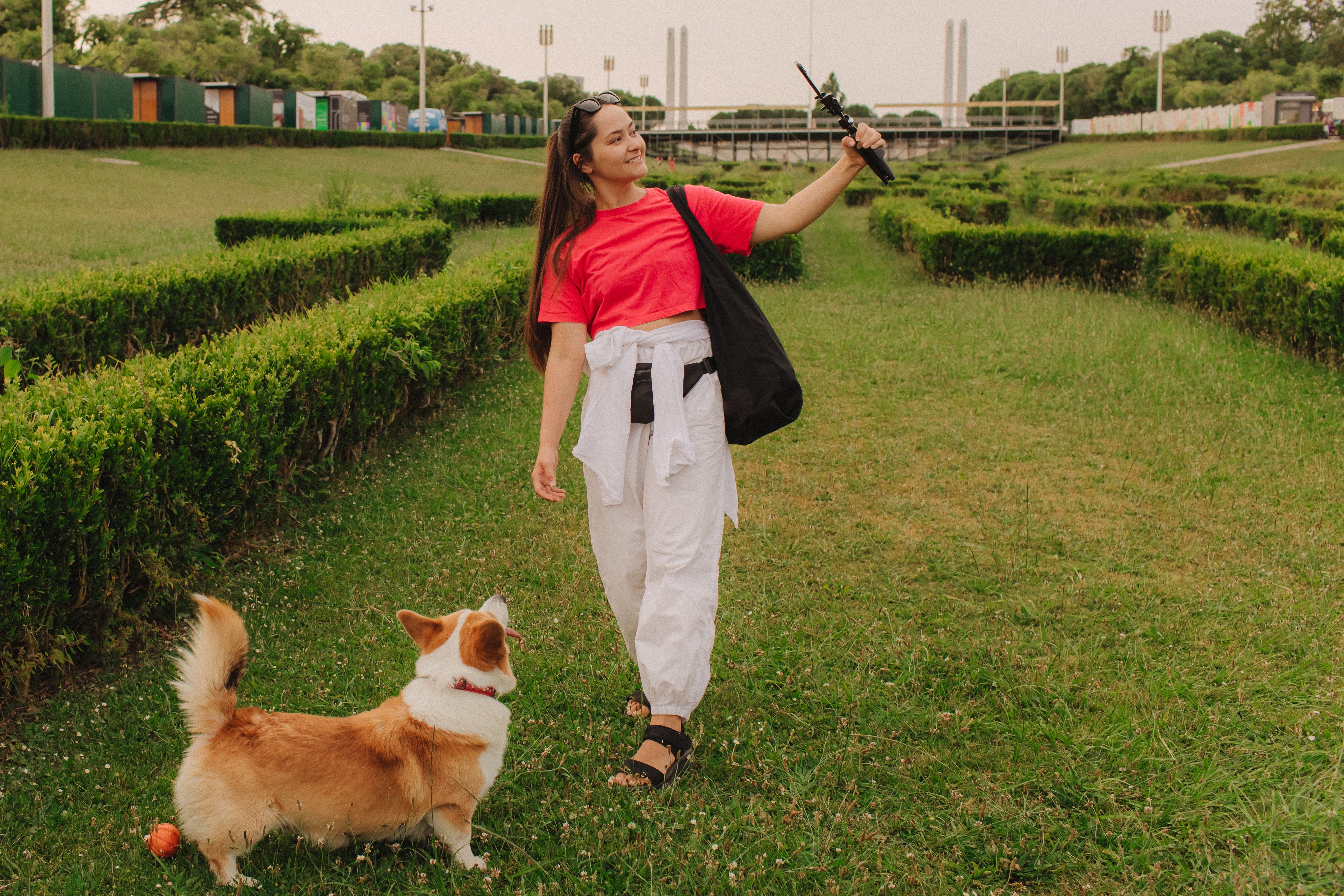 user generated content