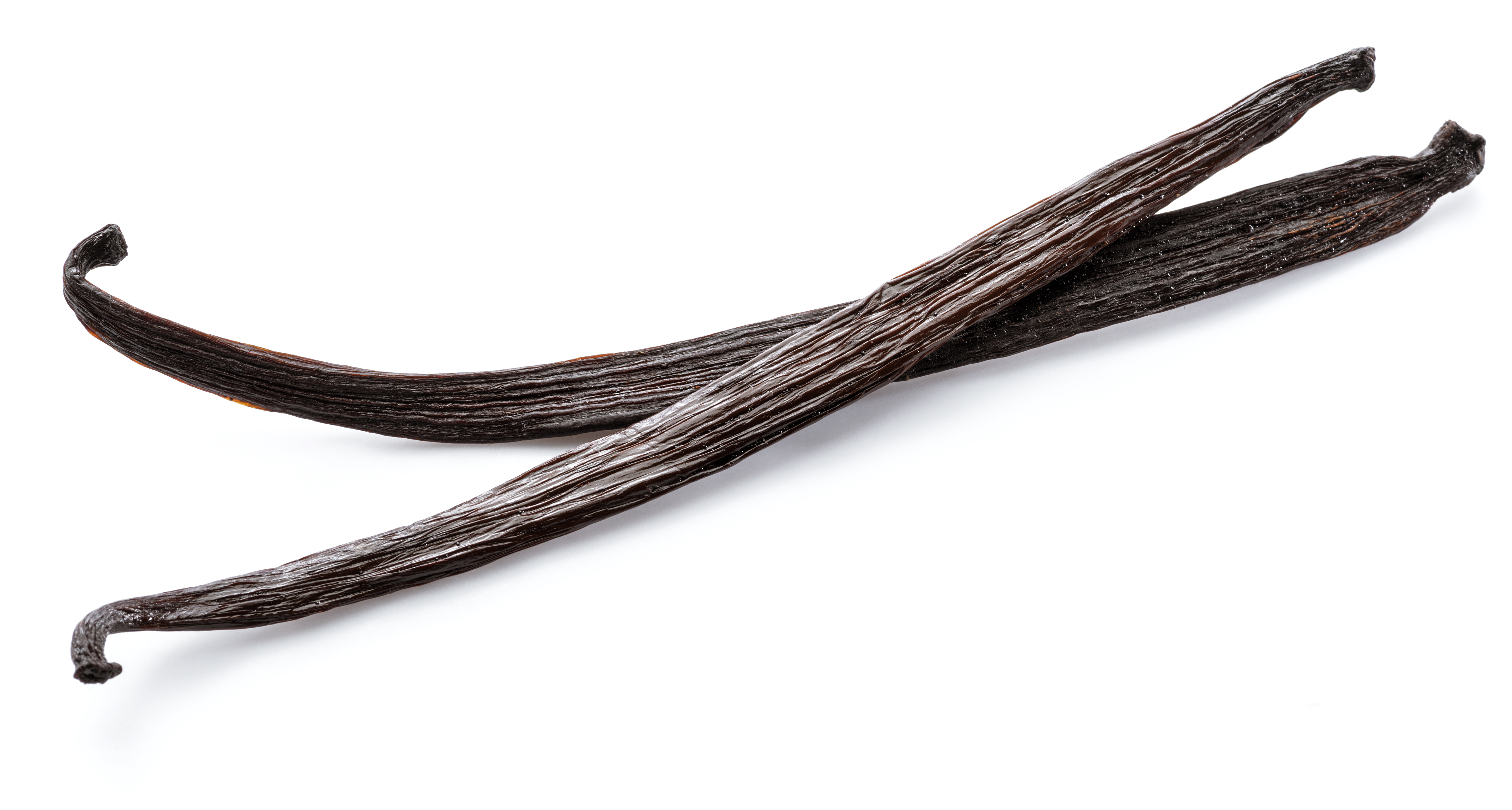 Dried vanilla Dried vanilla stick. Dried vanilla Dried vanilla stick.