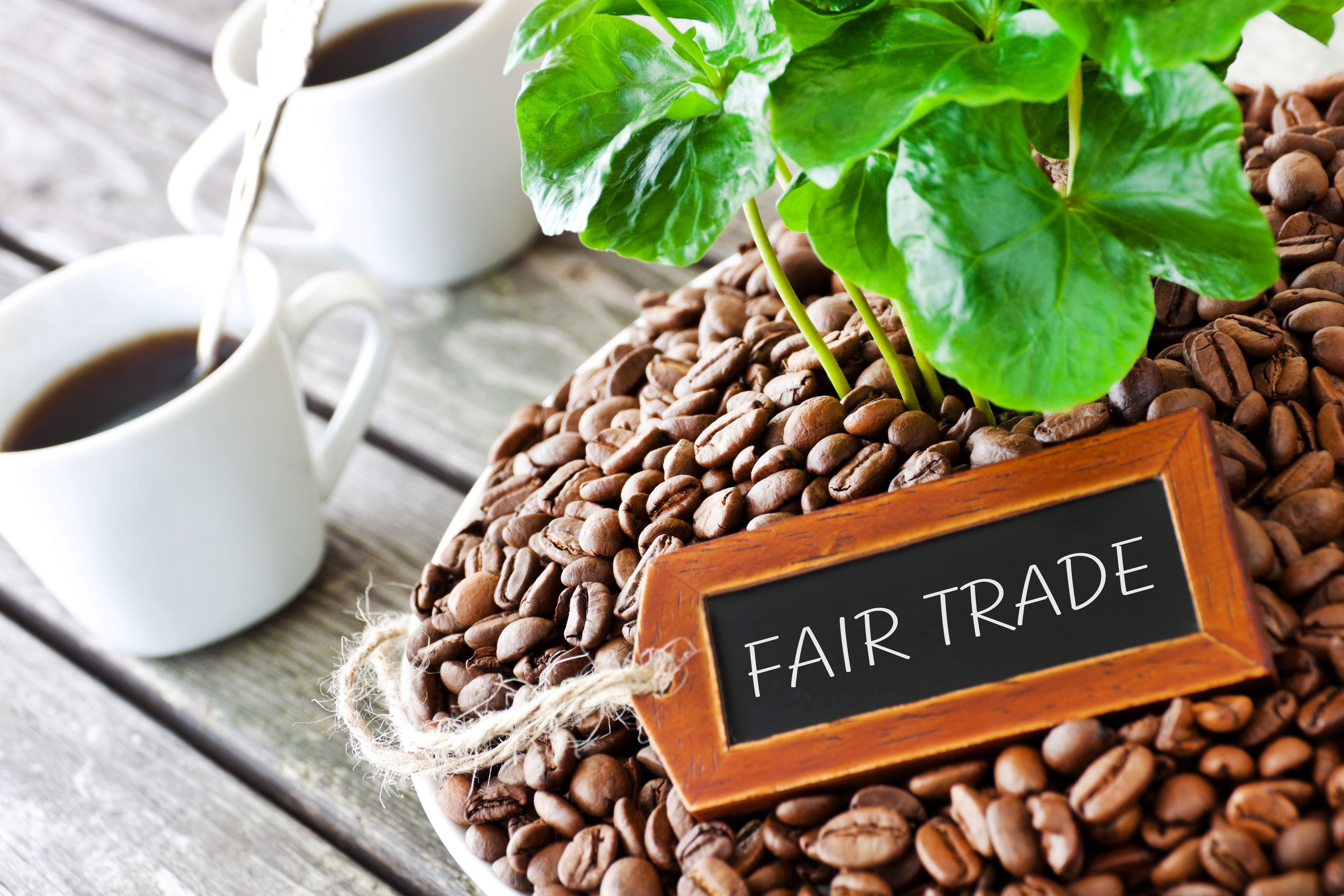 fair trade coffee