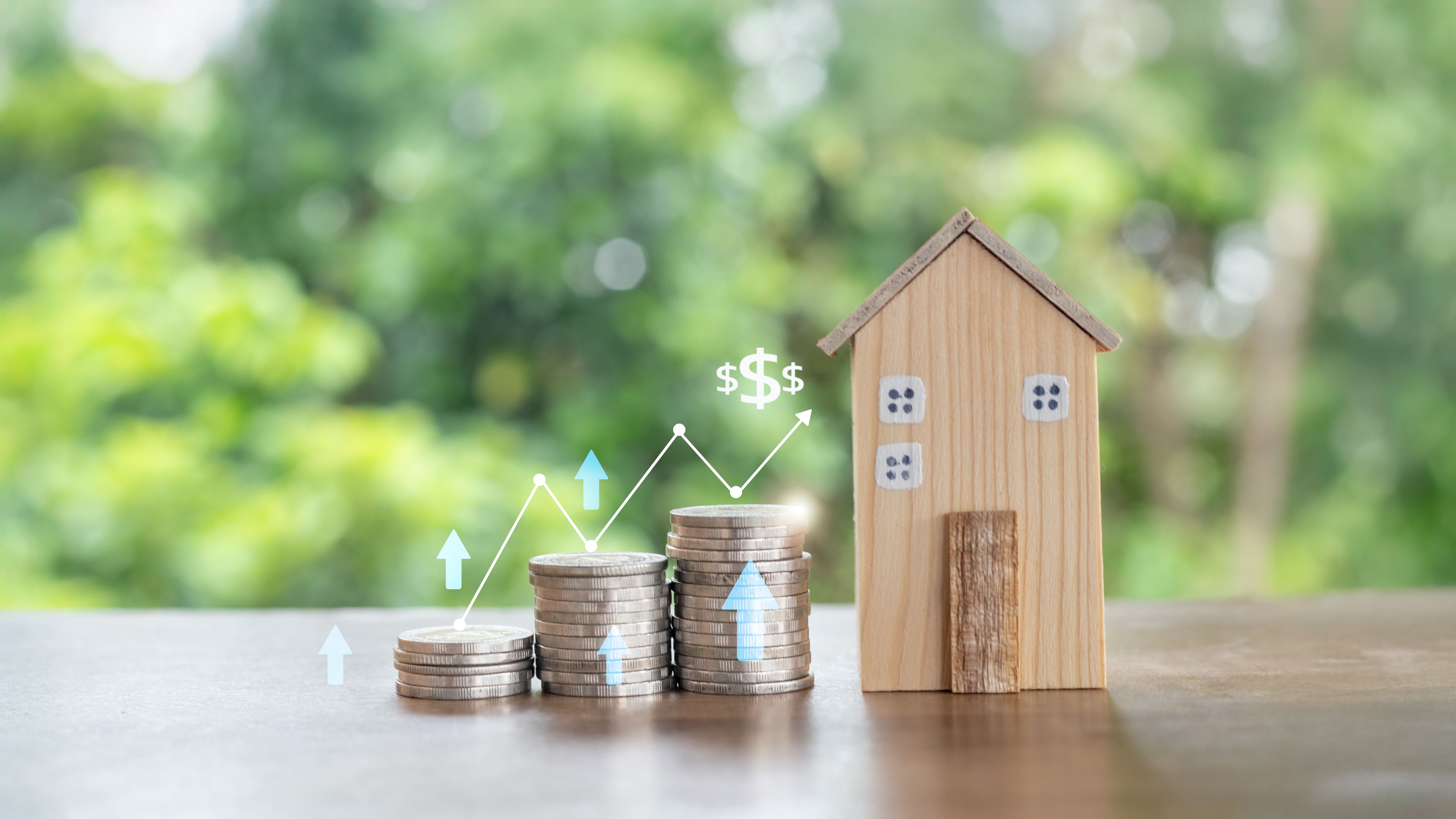 property investment