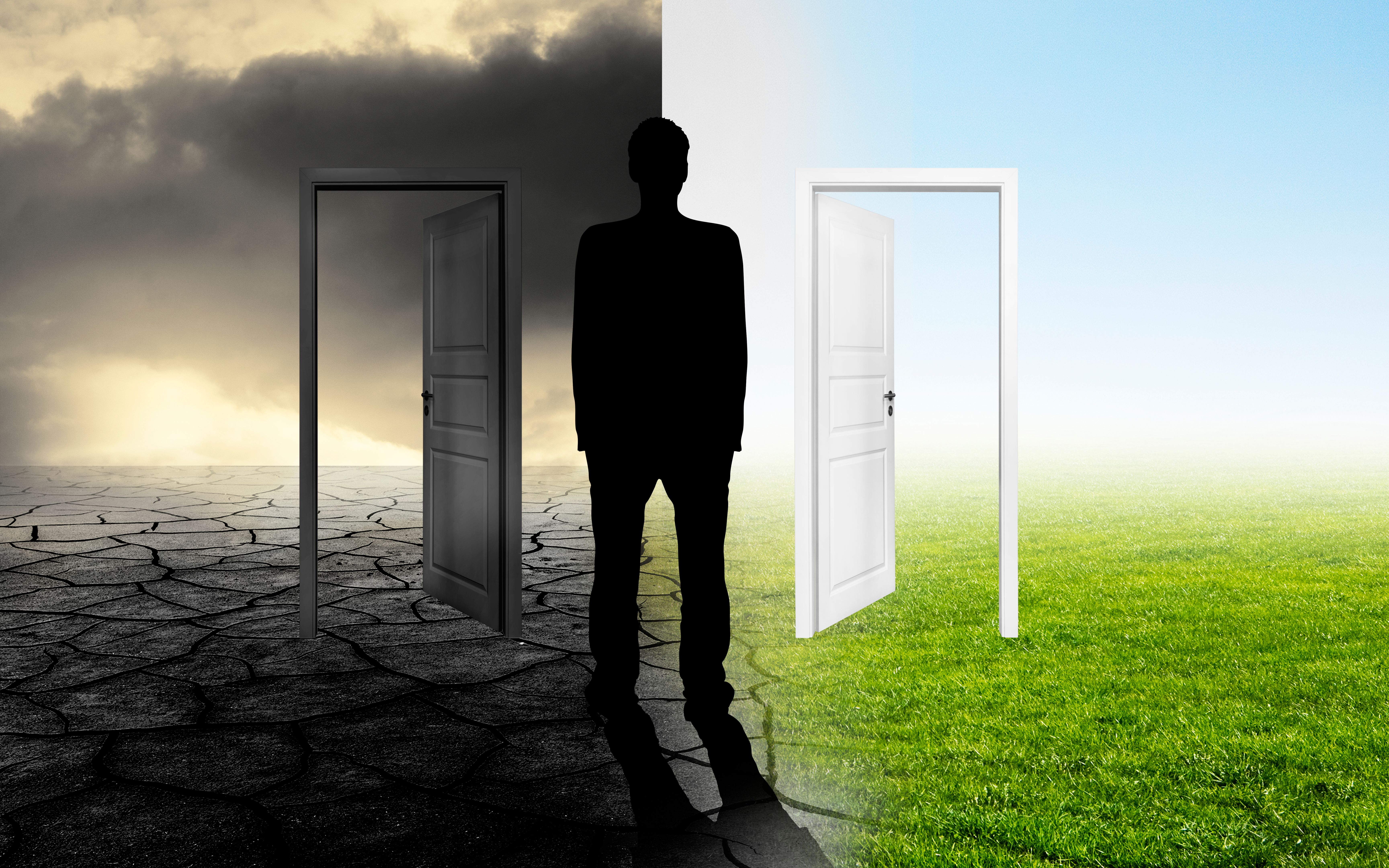 a person makes a decision