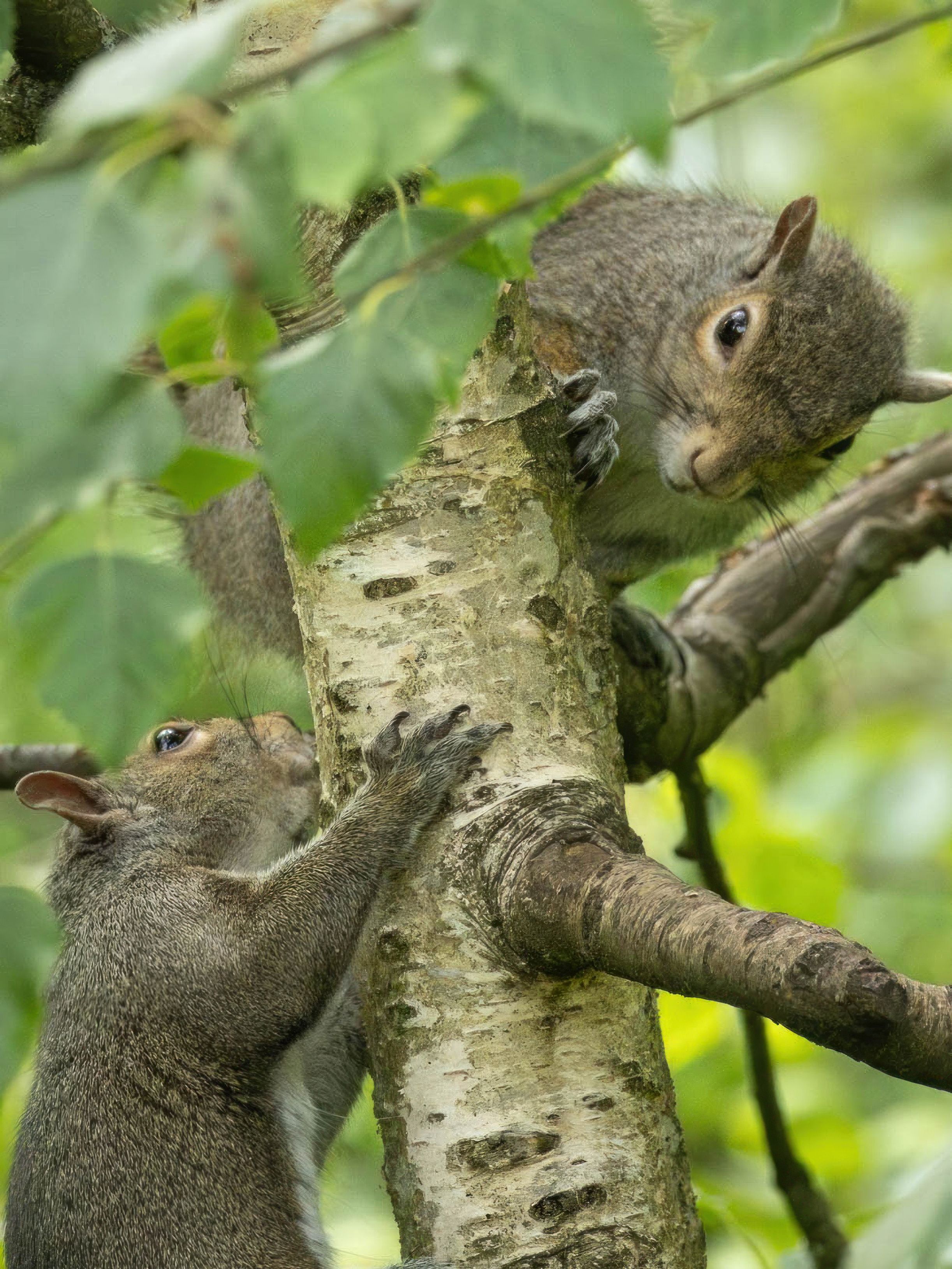 interactive activities