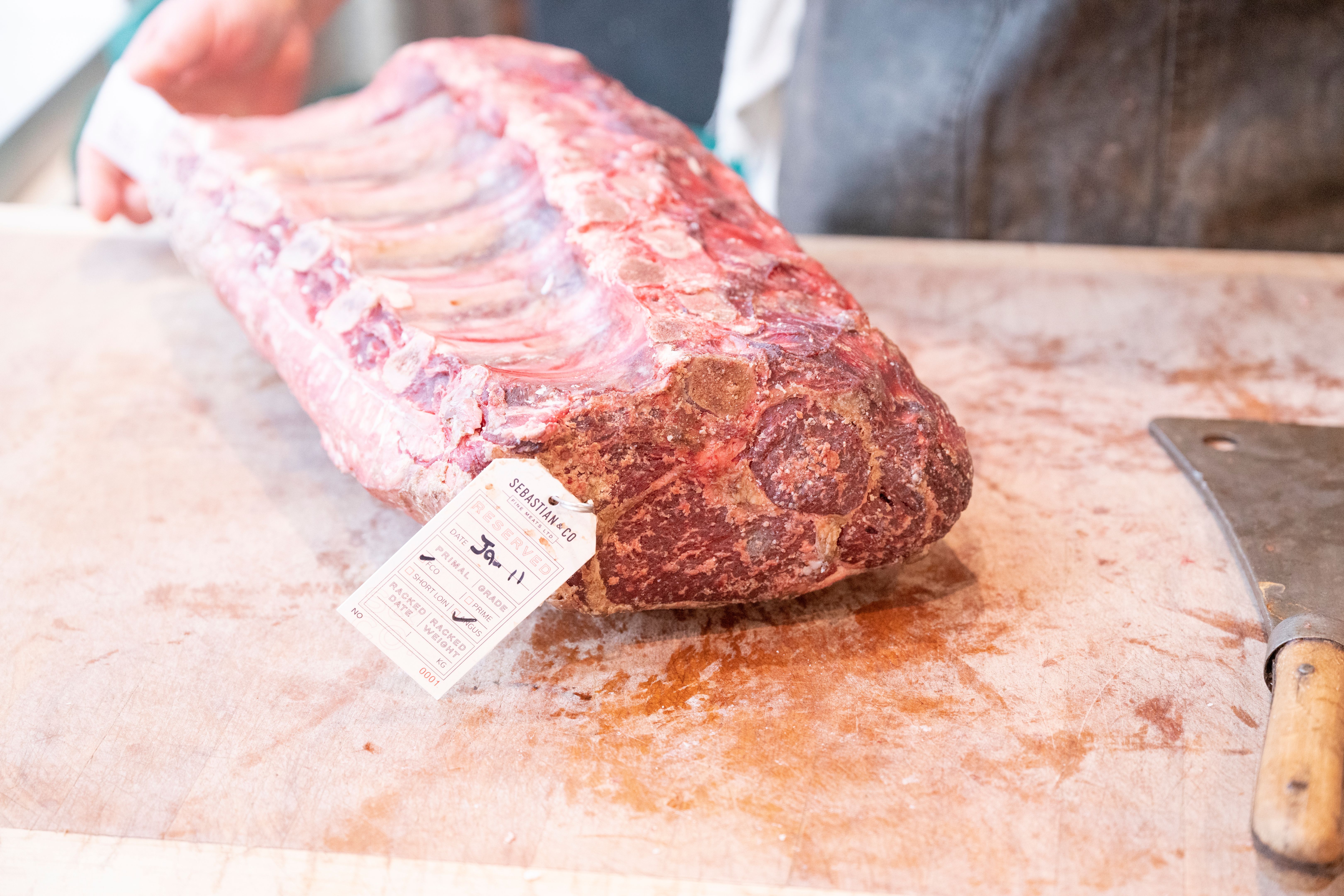 cruelty free products