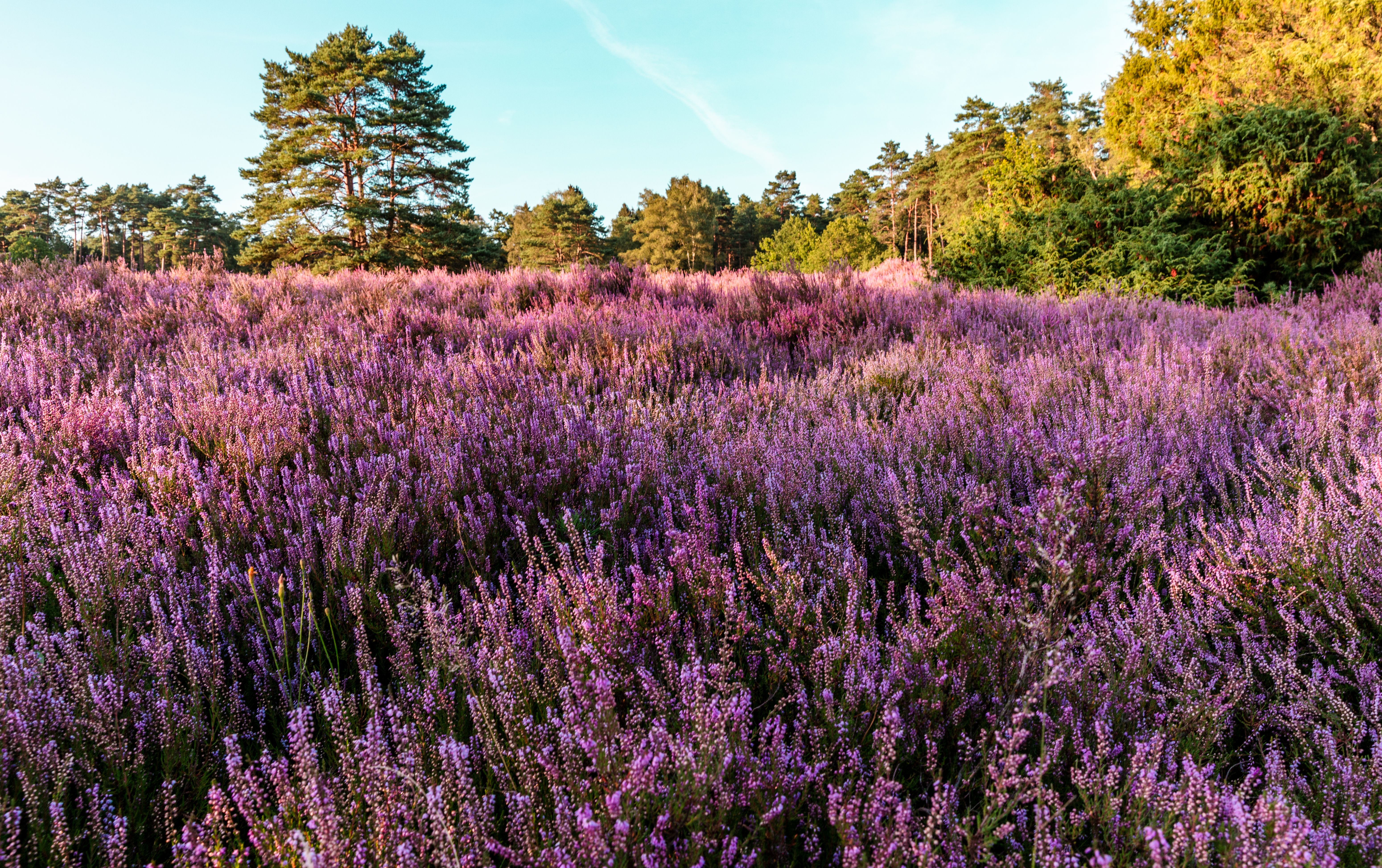 lower saxony landscape