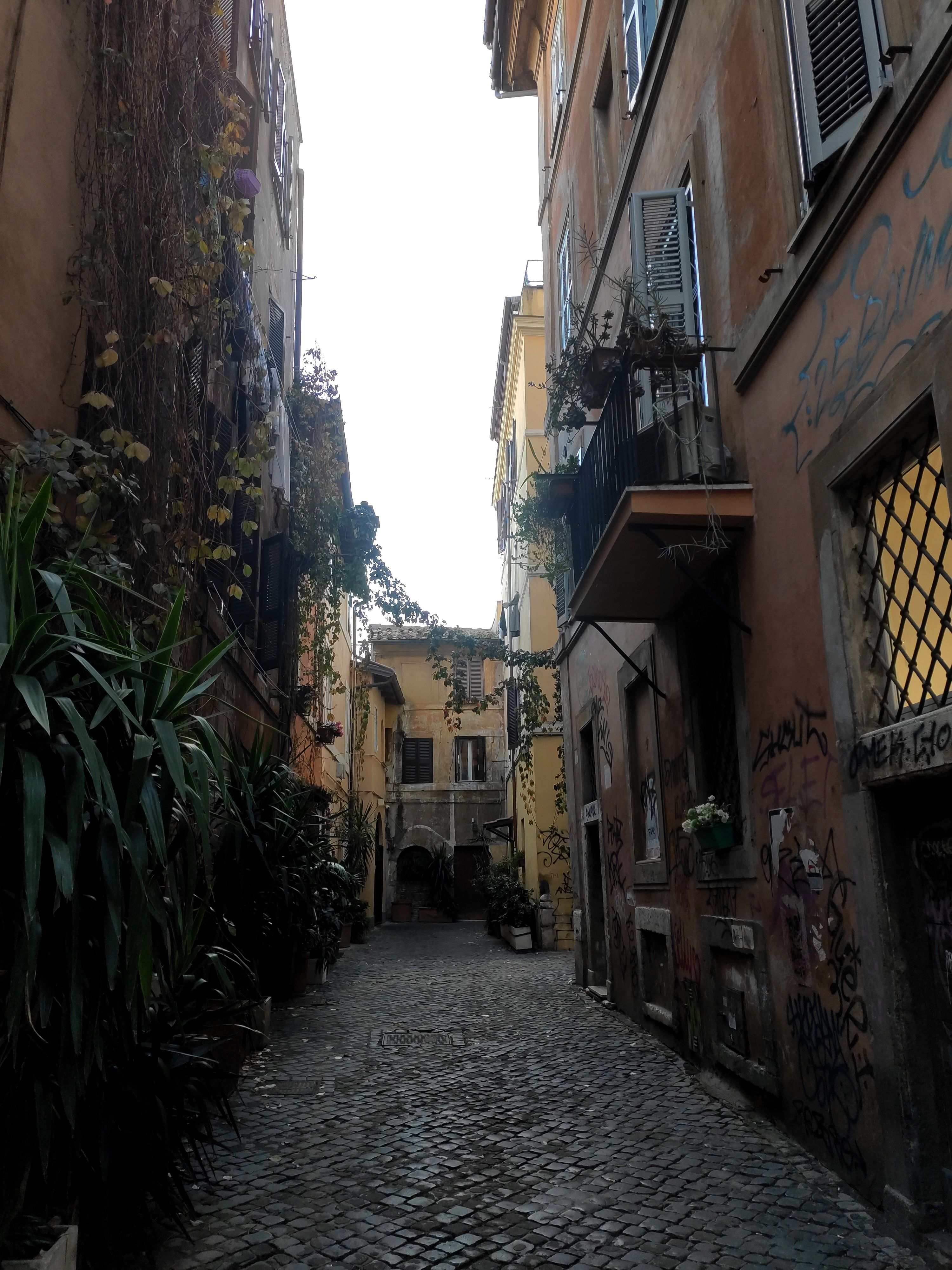 stradine trastevere