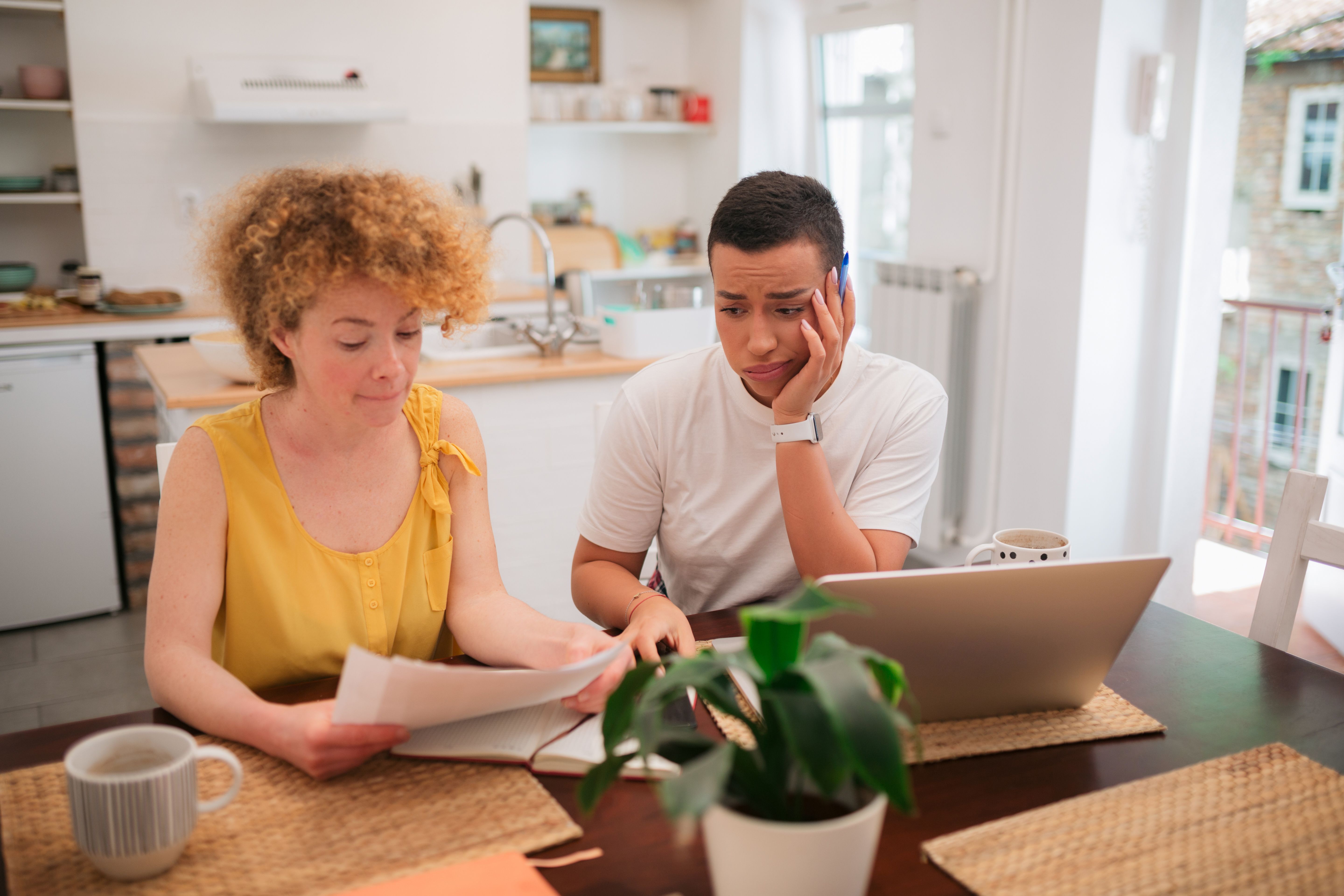 bilingual freelancer