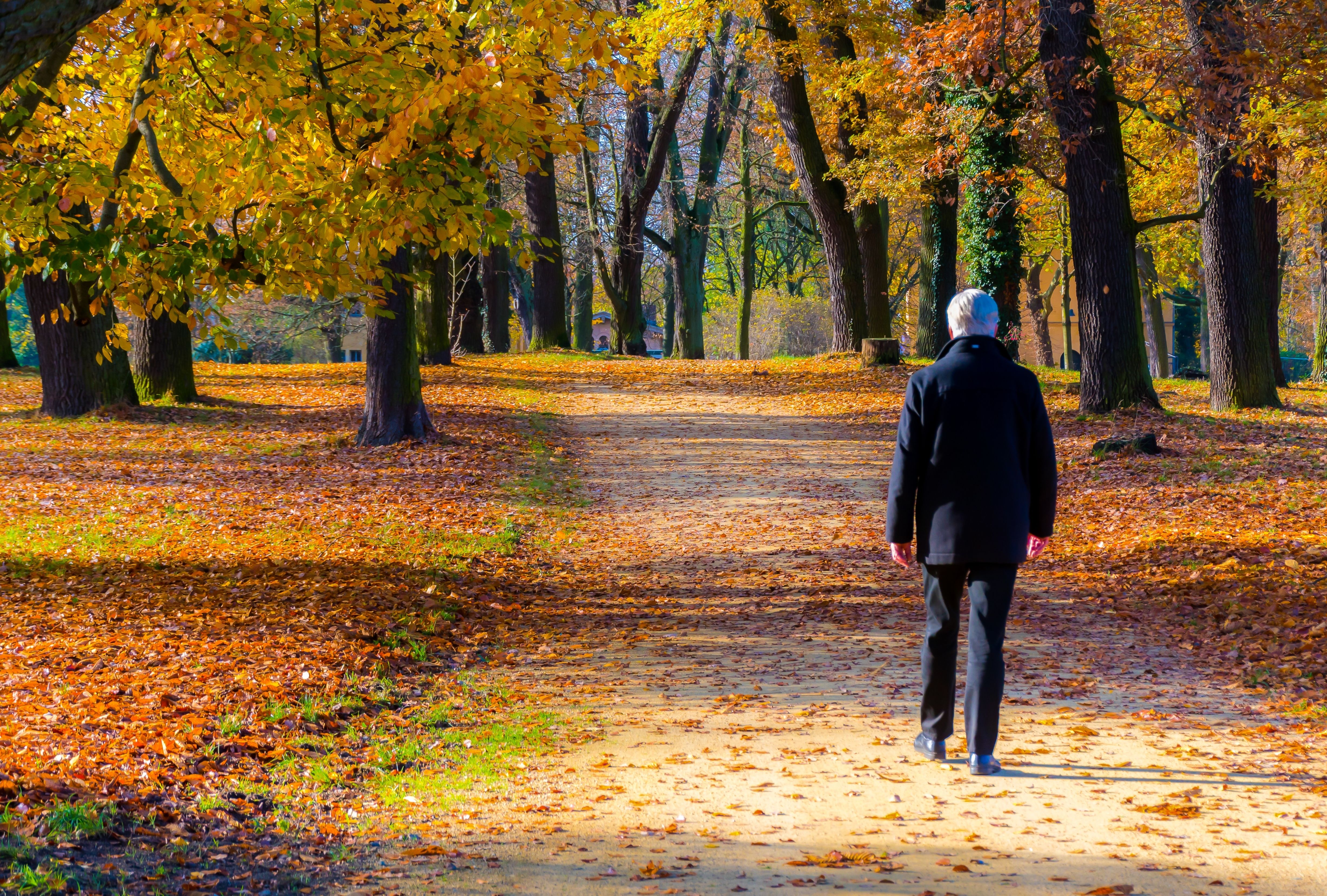 elderly walking park