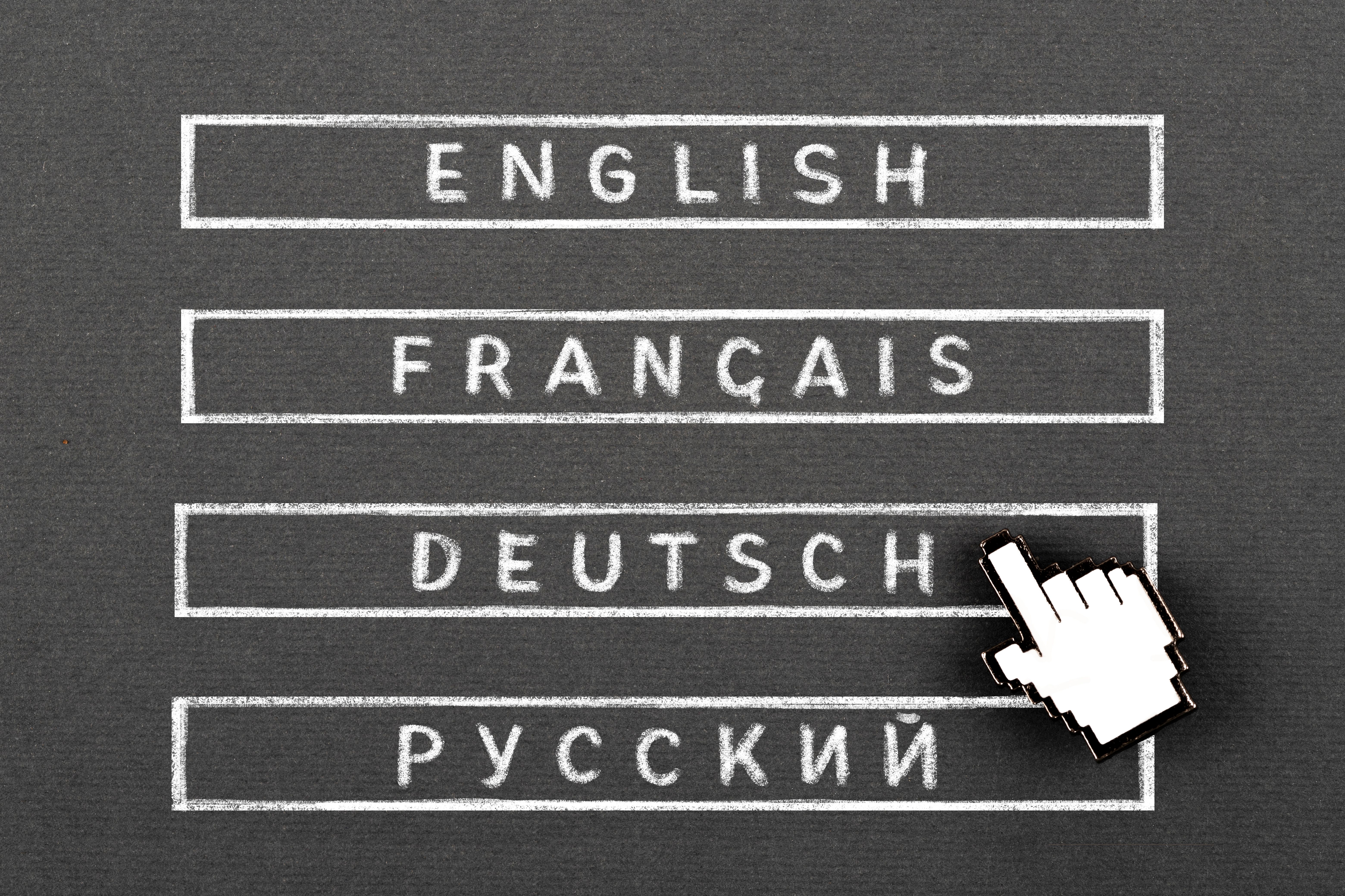 Macedonian translator