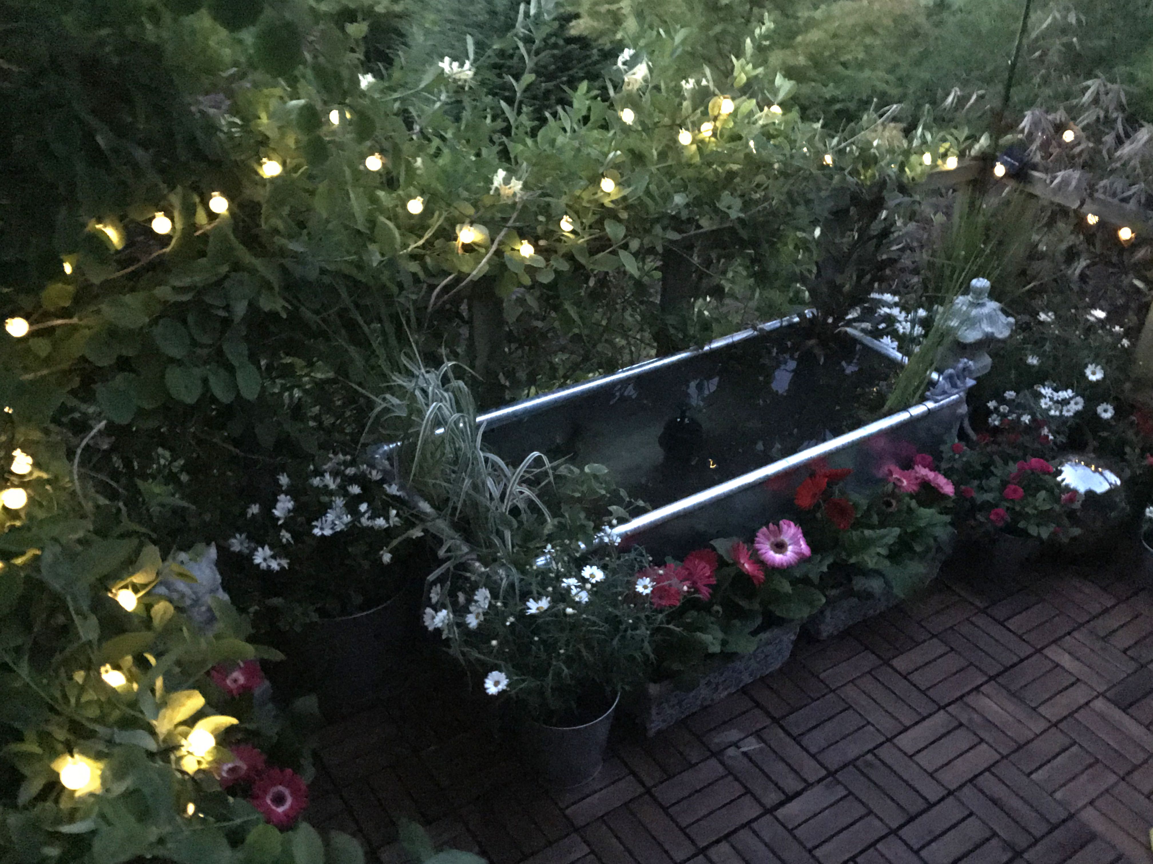 solar powered christmas lights