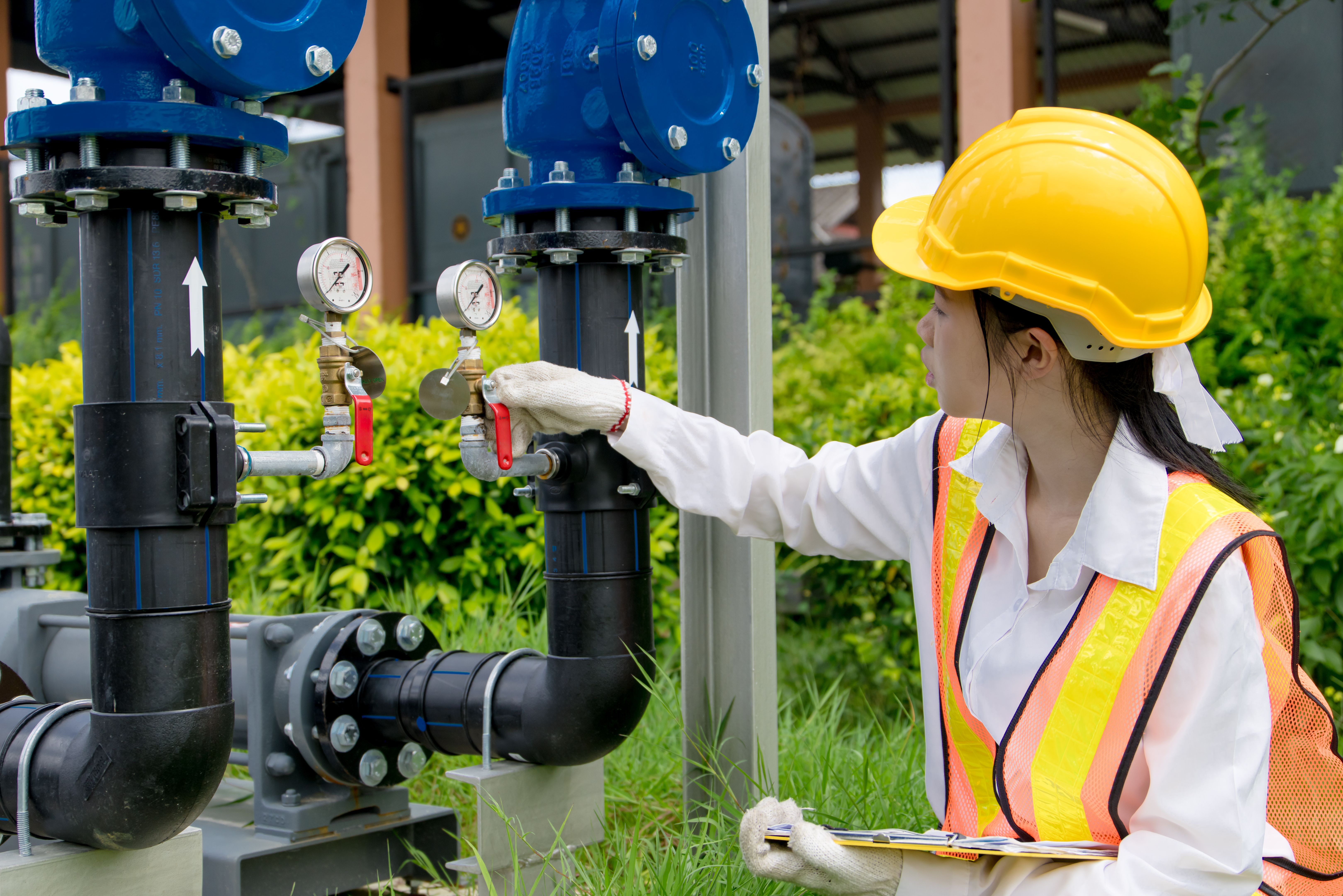 high pressure processing