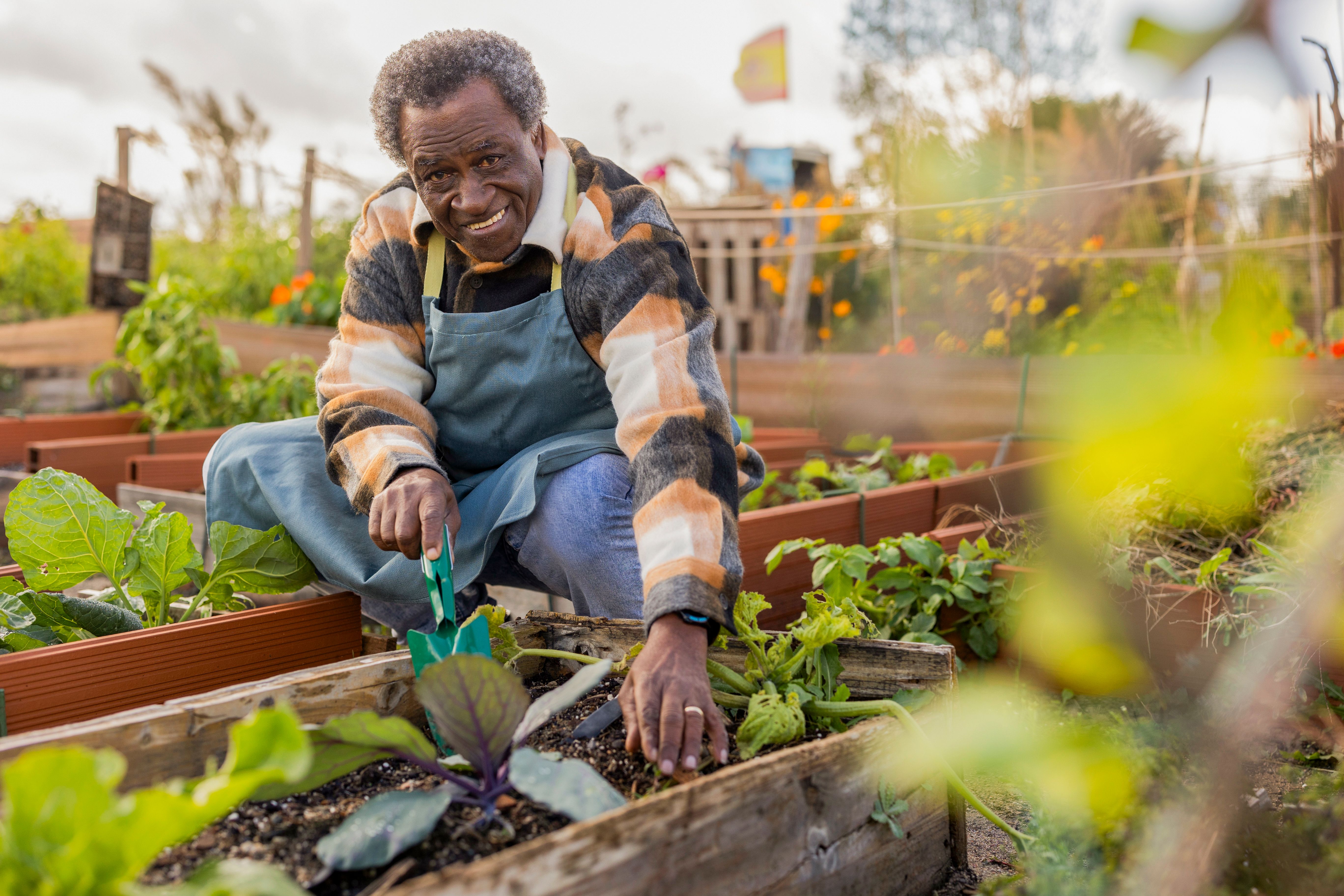 community gardening