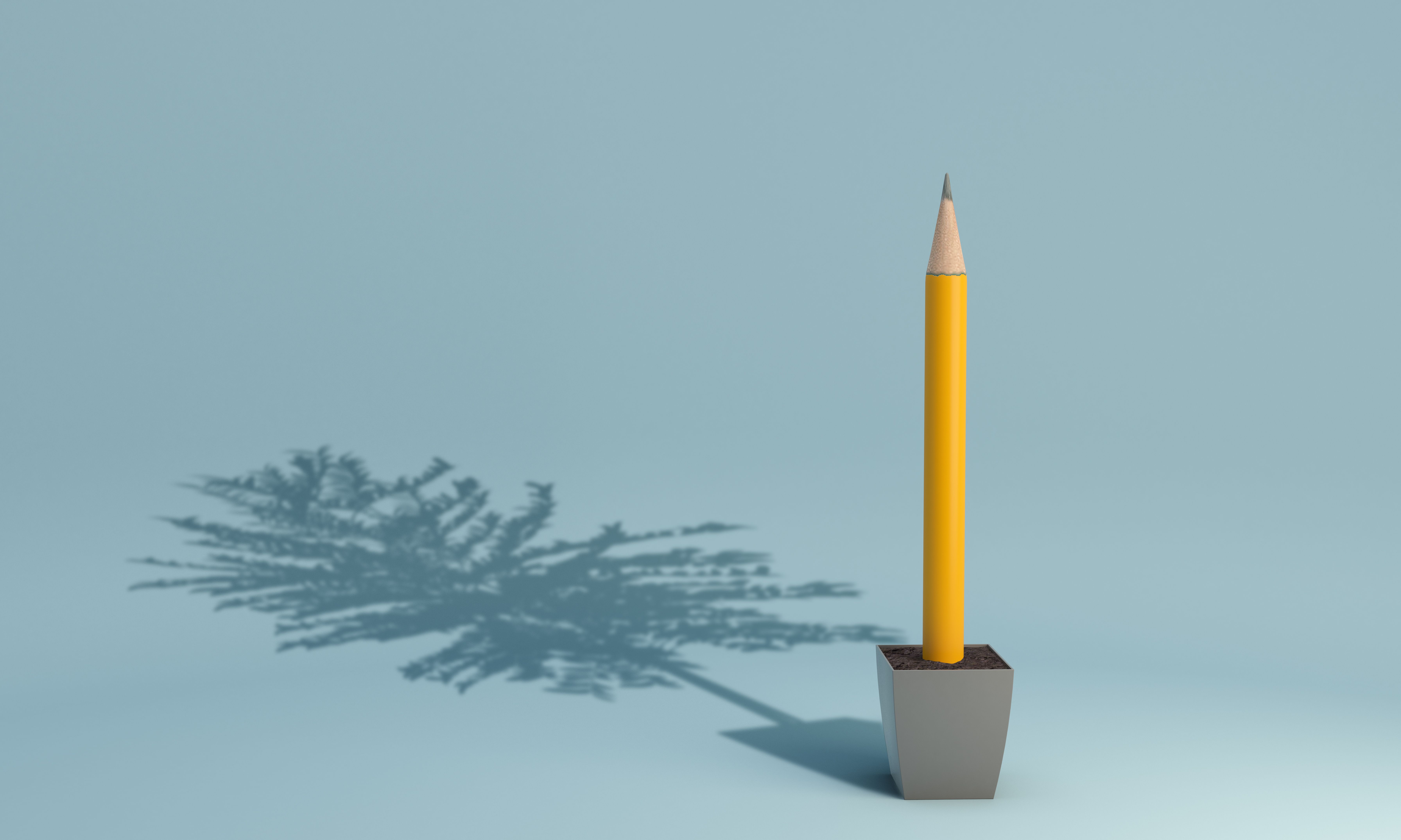 education opportunities