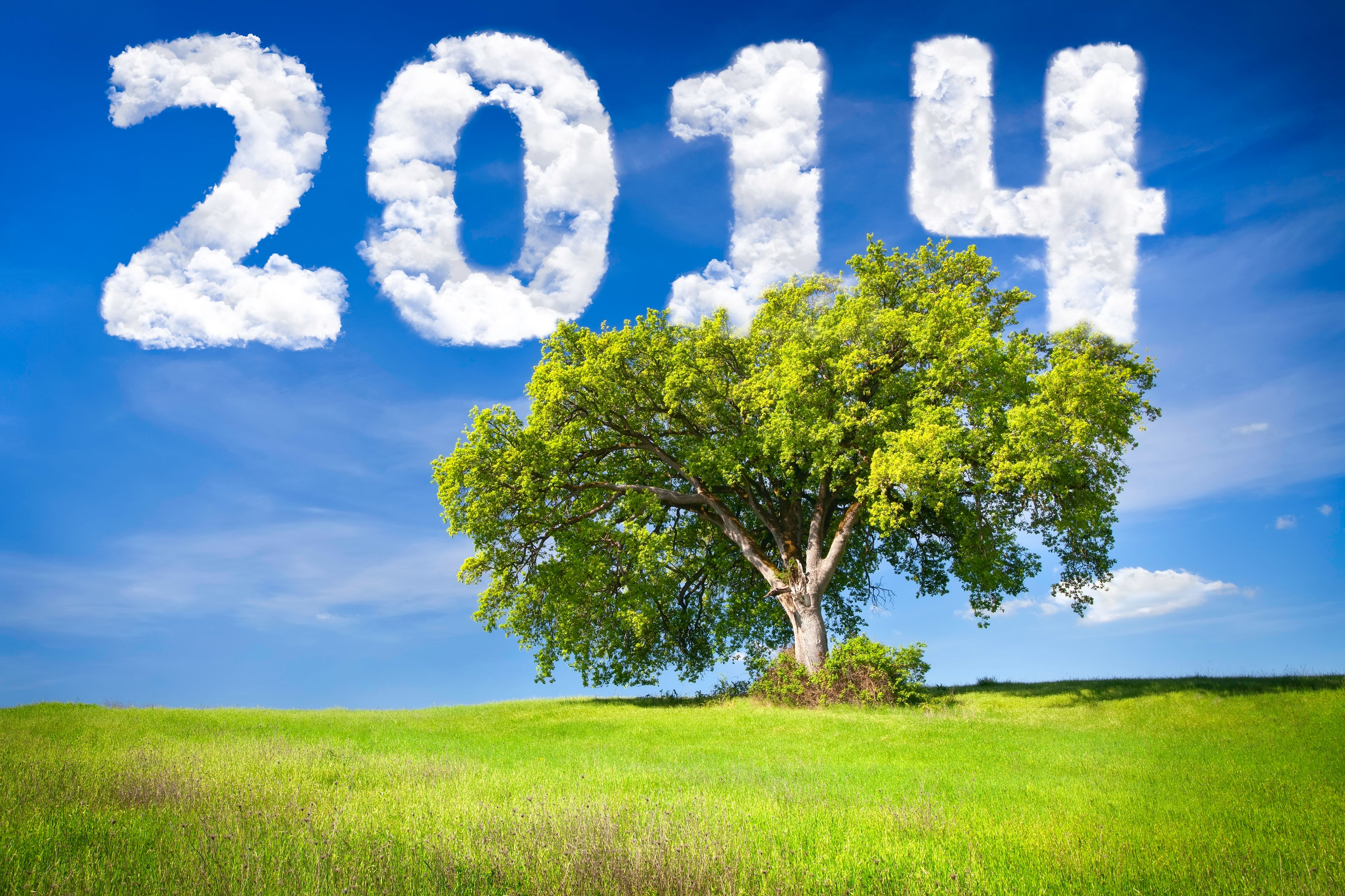 spring festival Siena