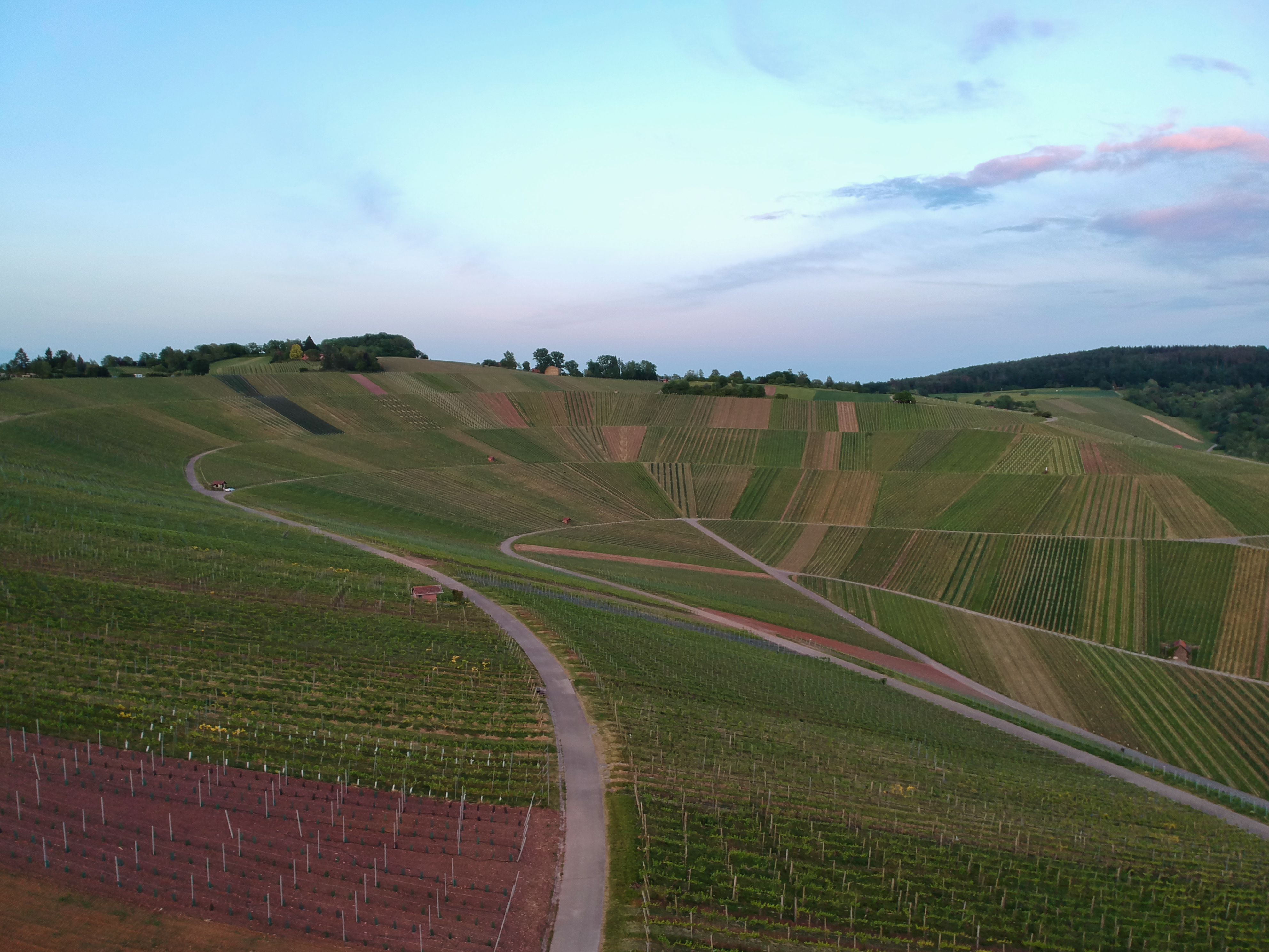 weingut drohne