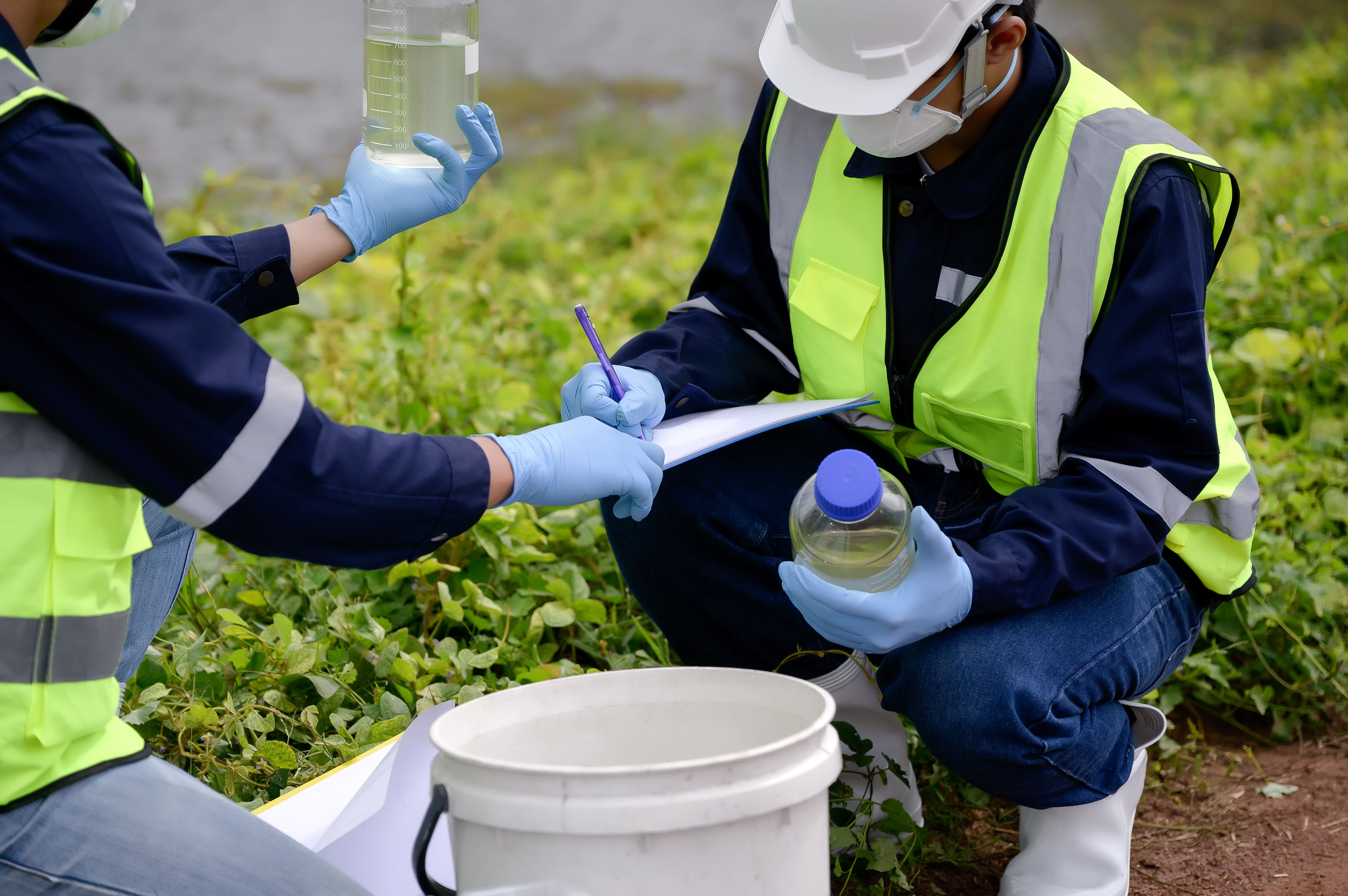 environmental assessment