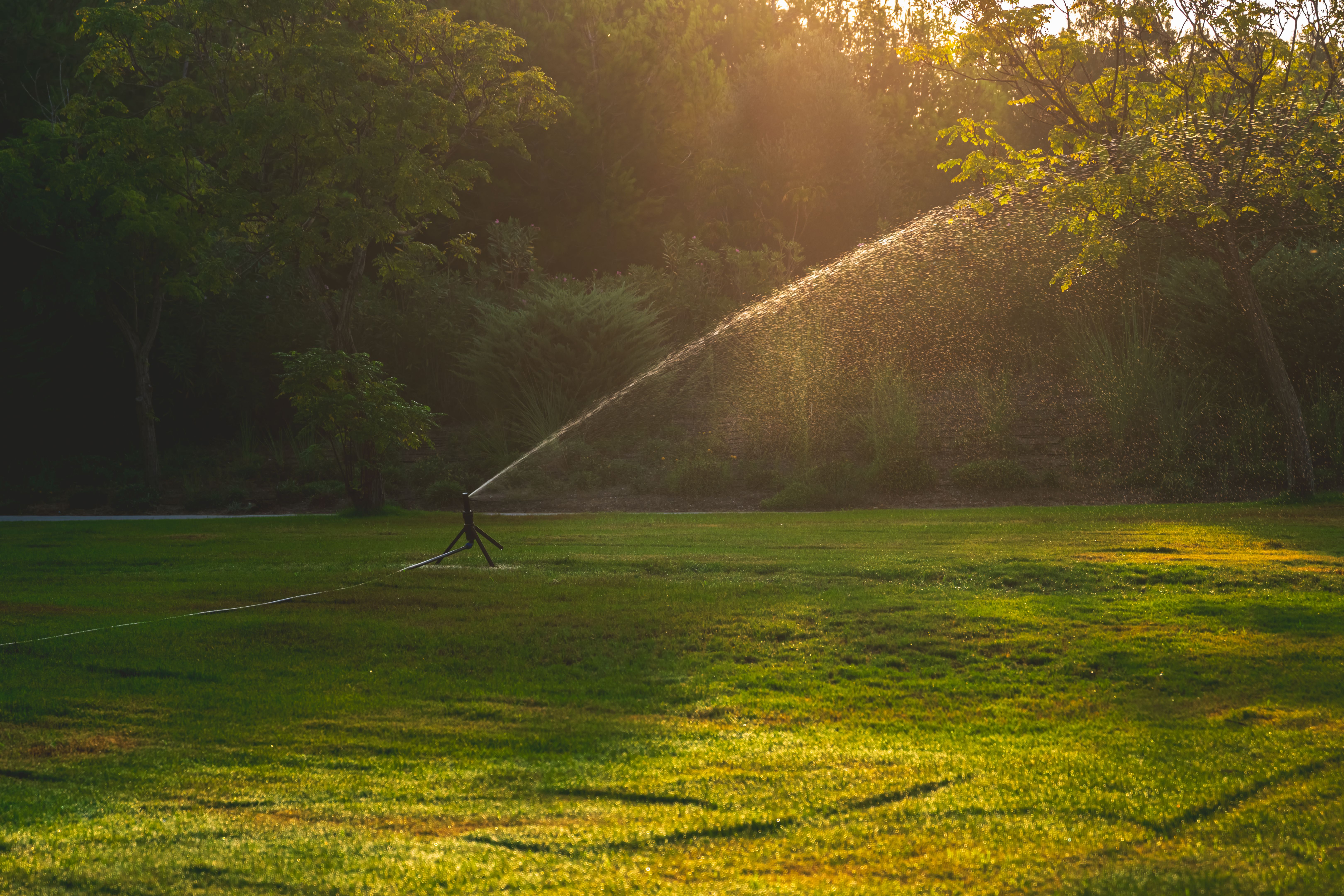 sprinkler watering lawn