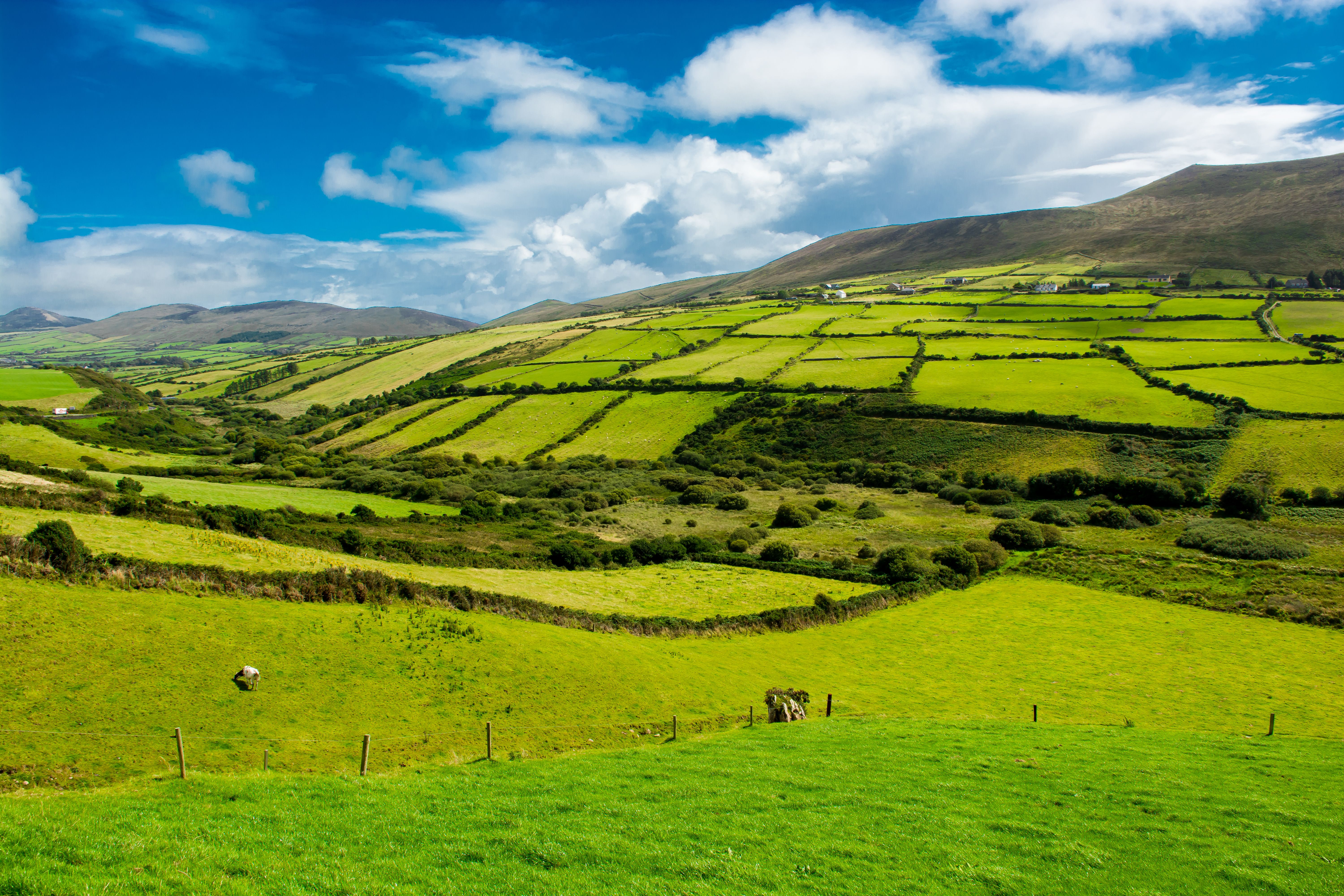 Rural Landscape With Pastures In Ireland